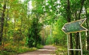 Луга қаласындағы жезөкшелер тегін Луга қаласындағы жезөкшелер