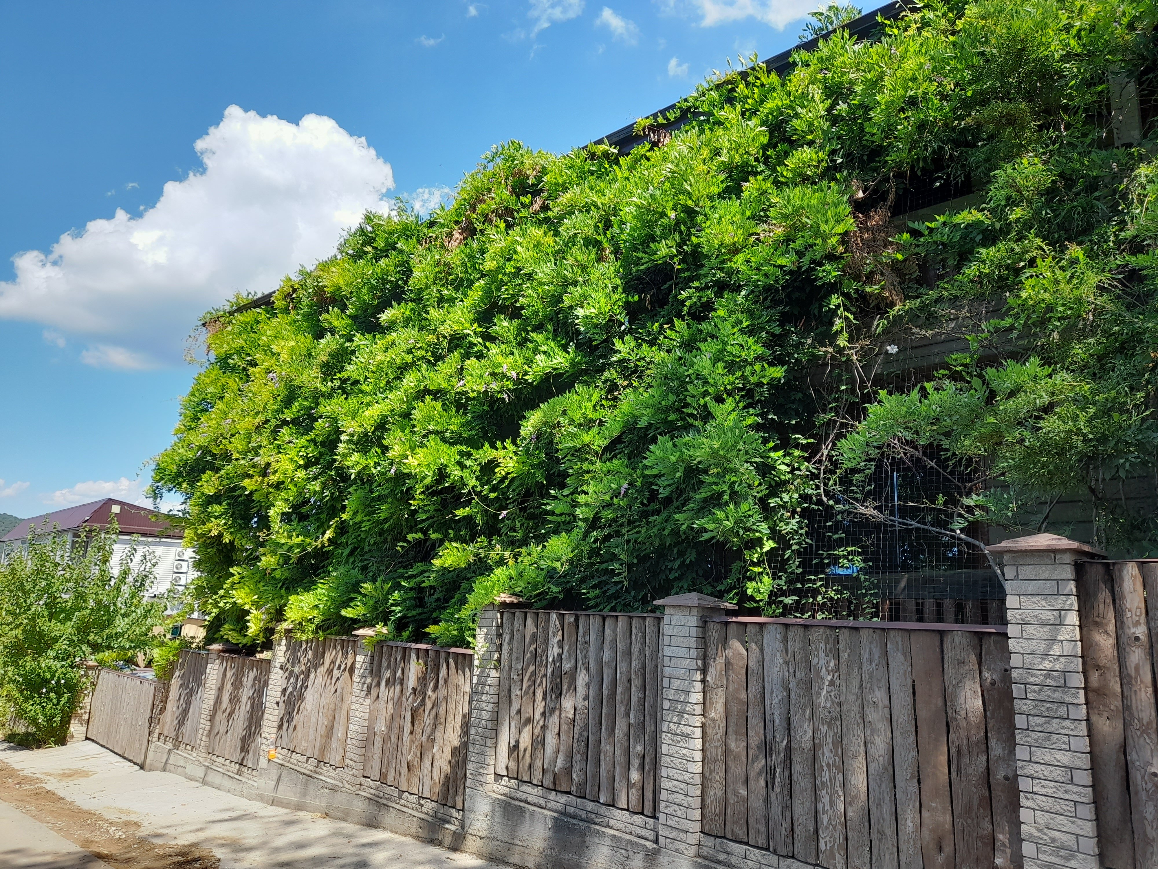 Фото Мама Джан