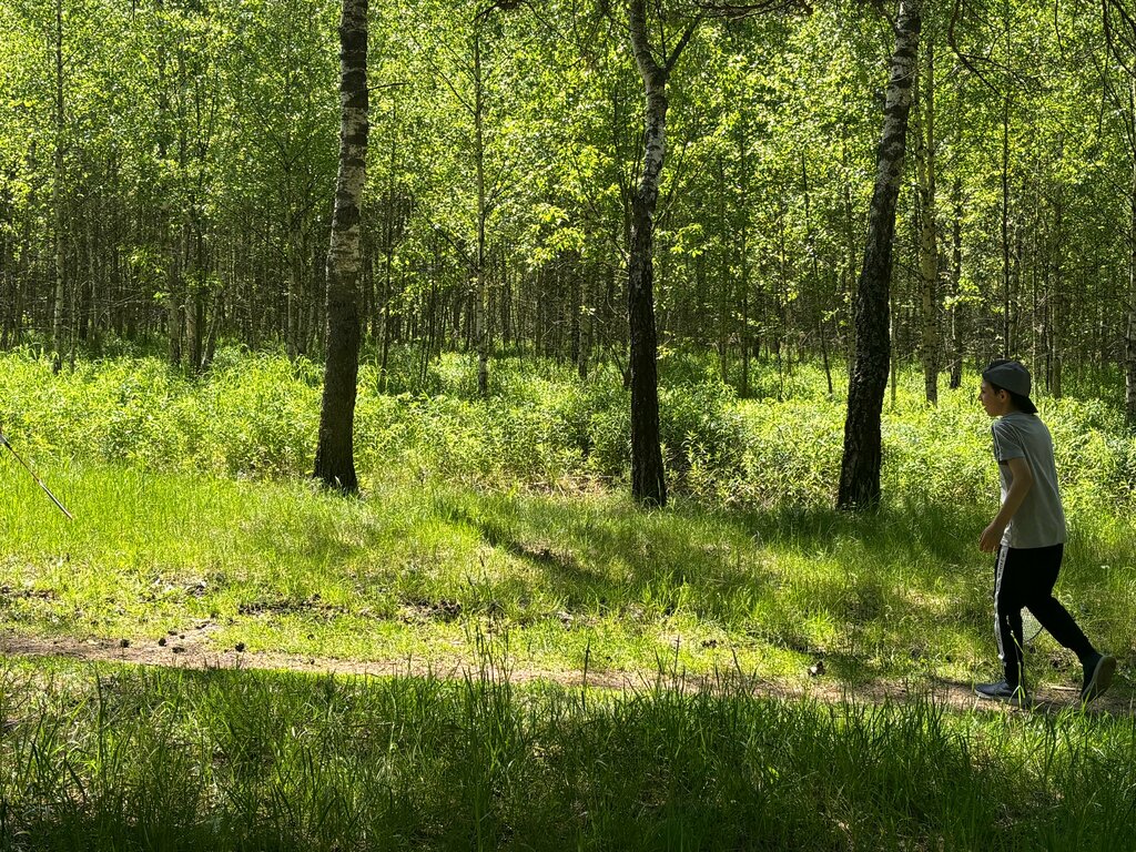 Park Samarovskiy Forest Park, Korolev, photo