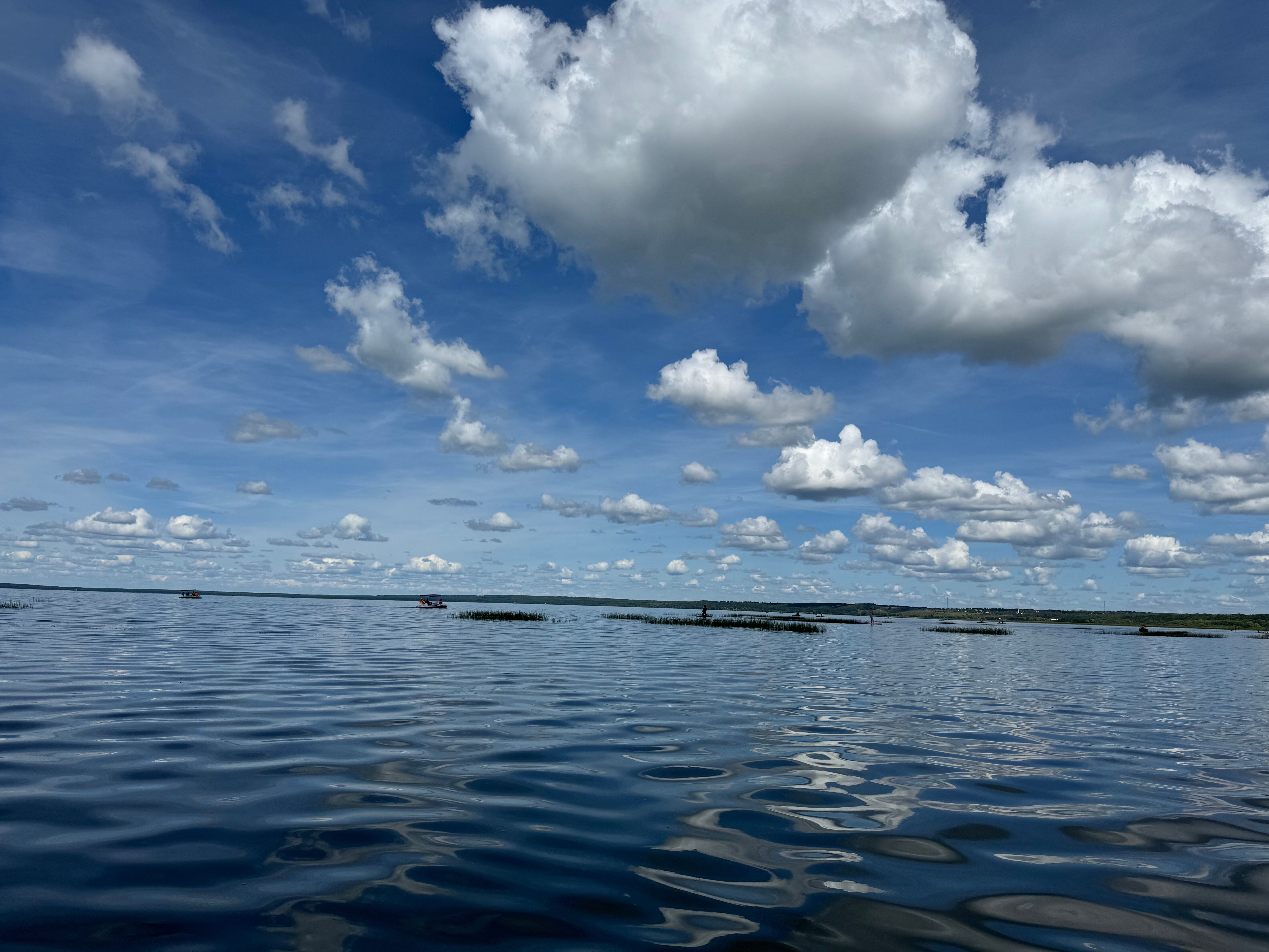 Фото КиноДача