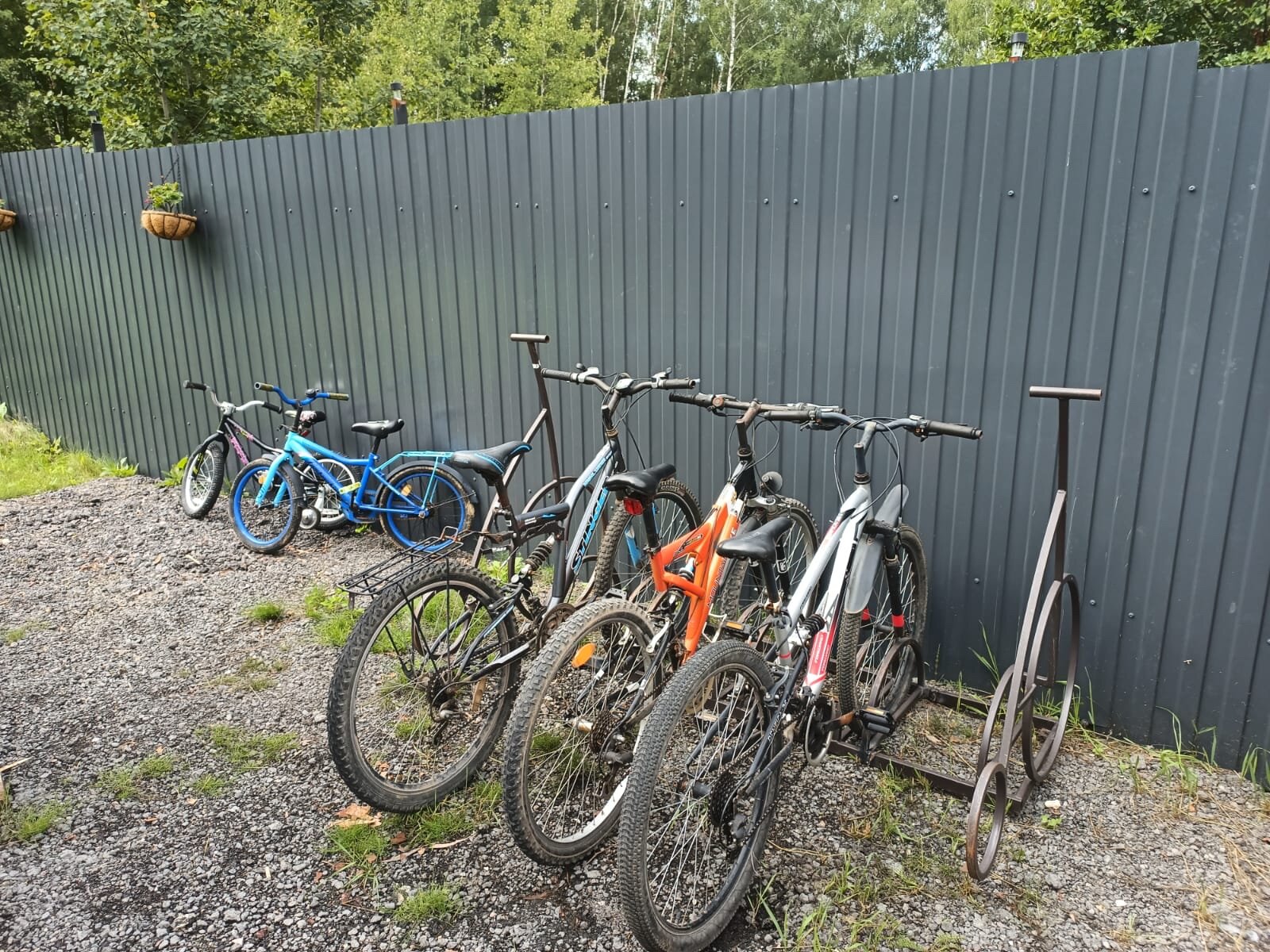 Фото Лесная Сказка