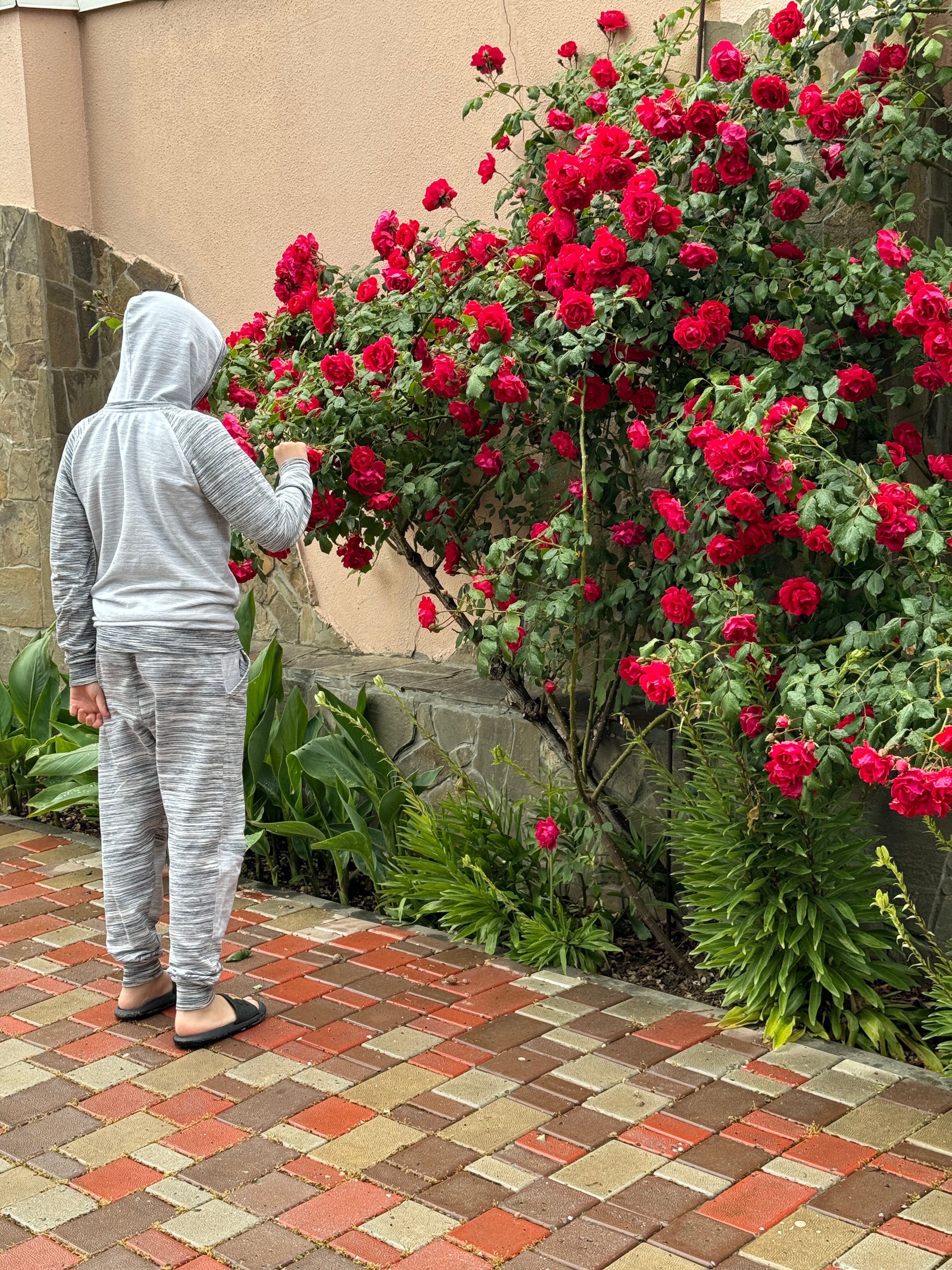 Фото Империя