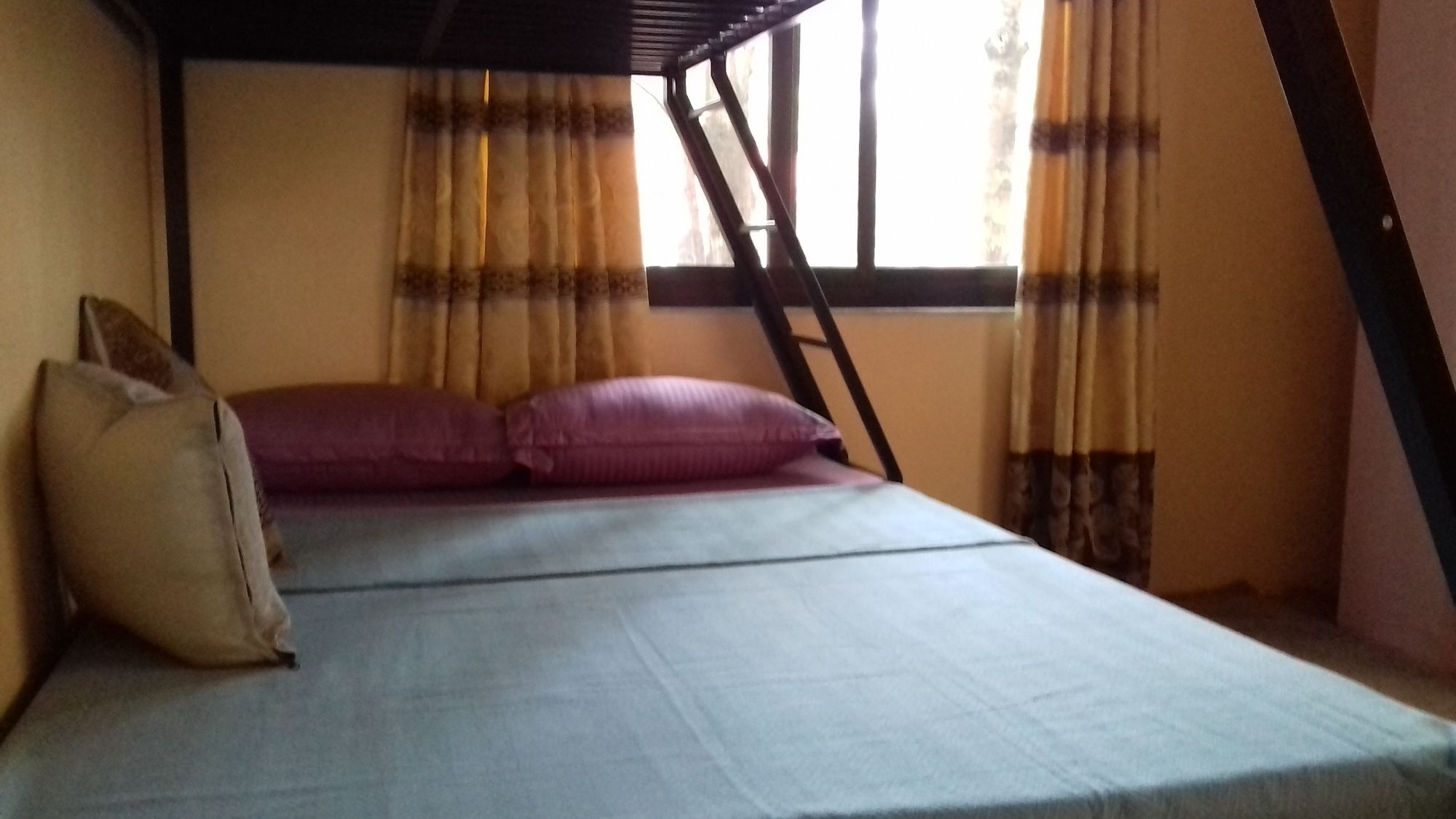 Фото Nepal Inn Bed & Breakfast