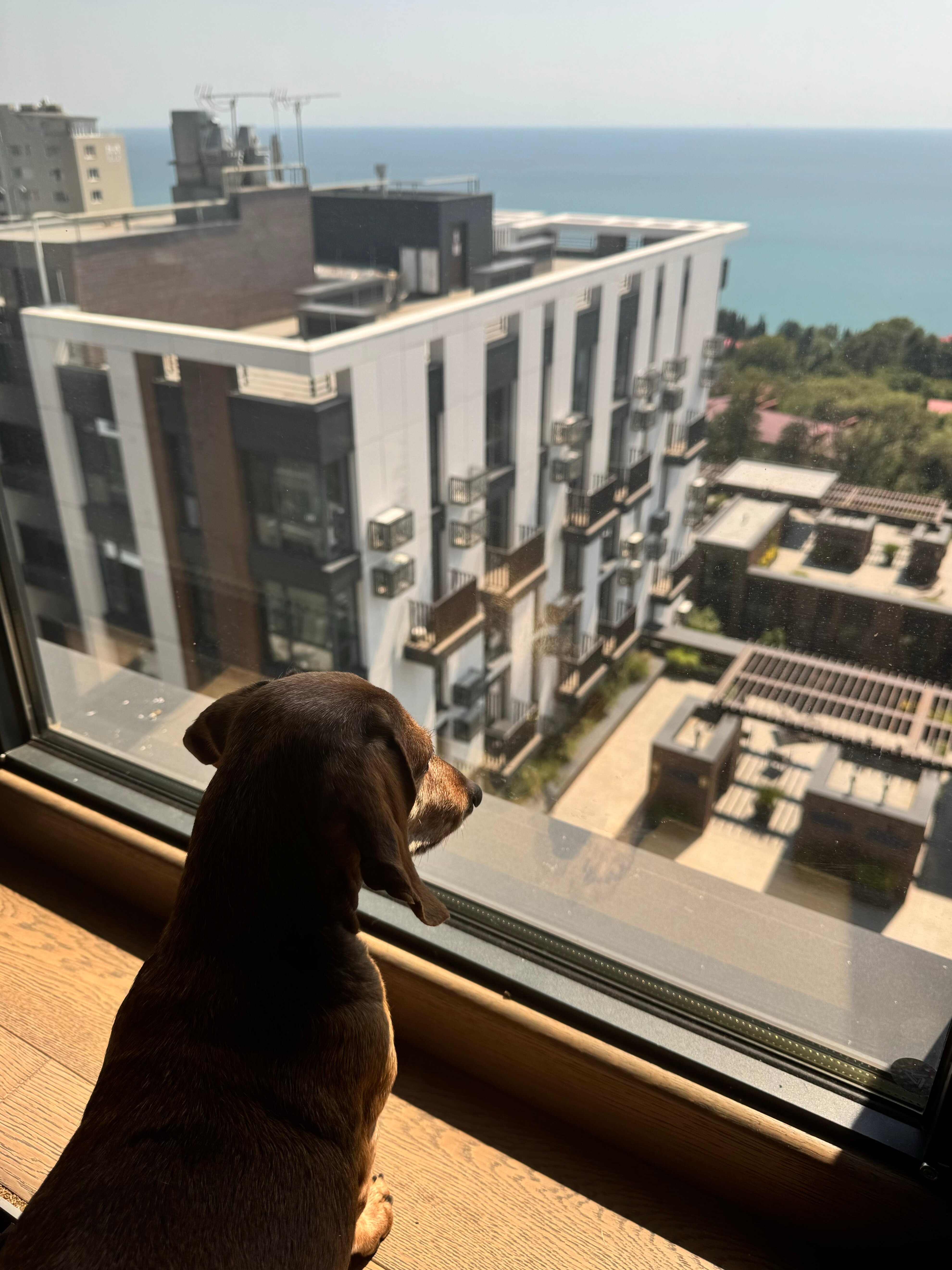 Фото Моравия