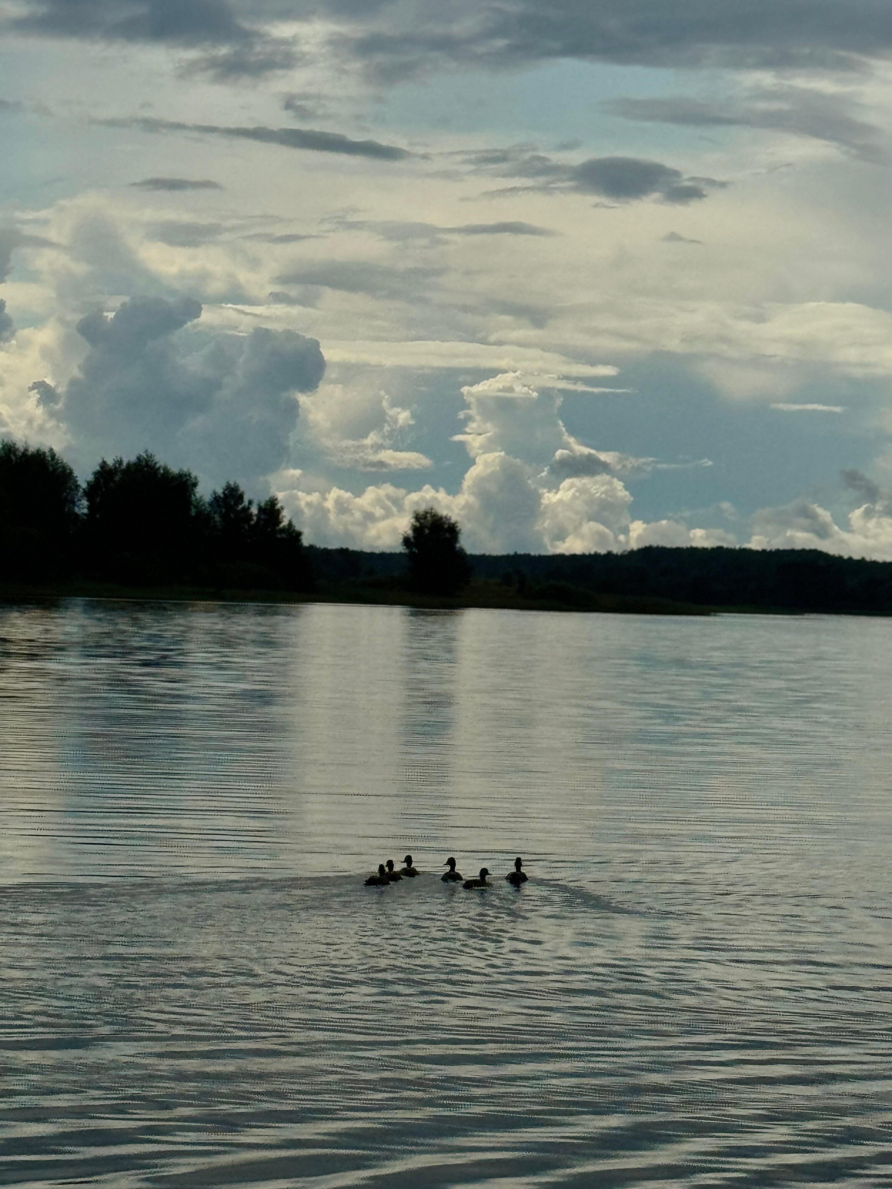 Фото Селигерия