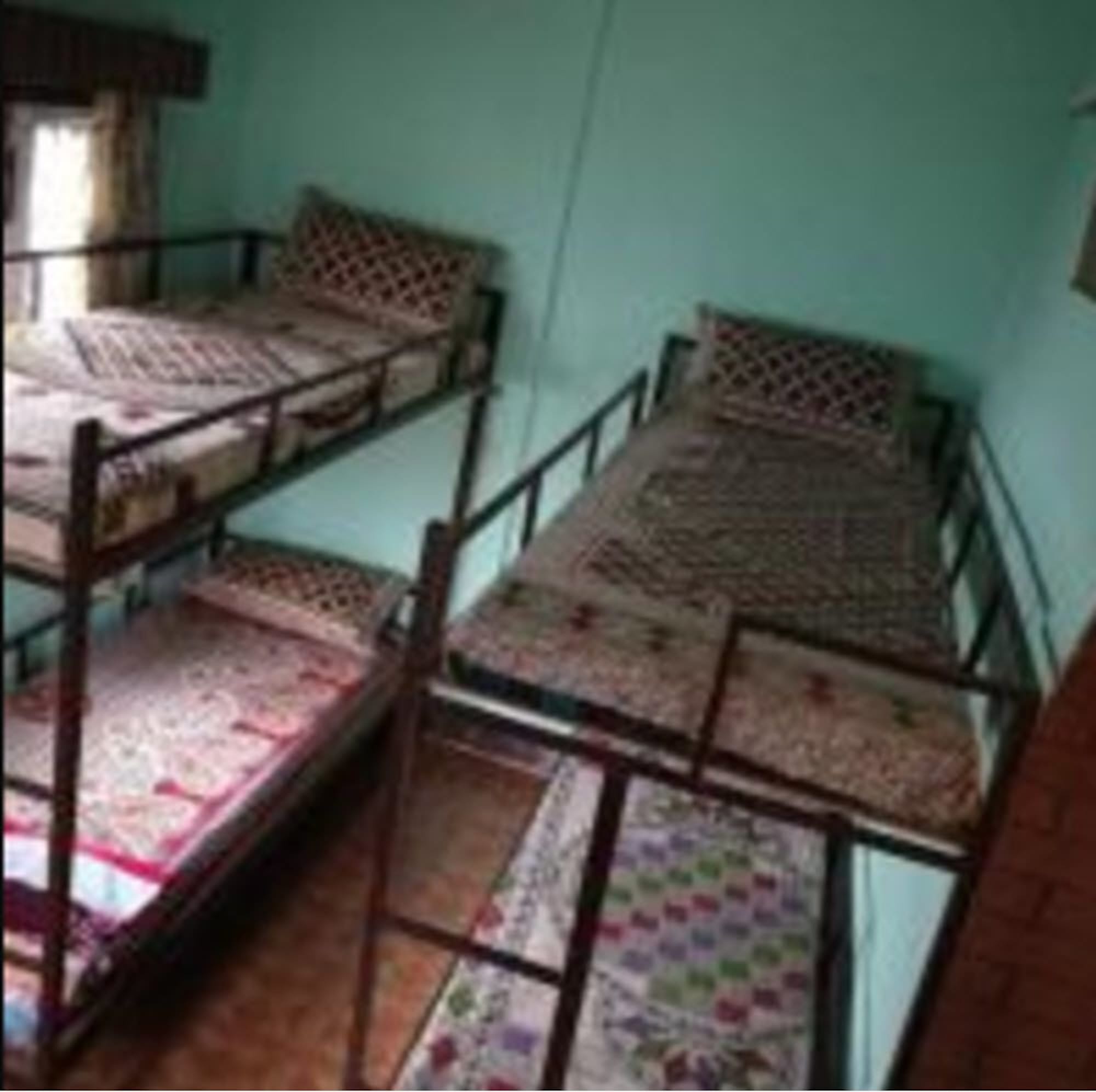 Фото The Nepali Hive