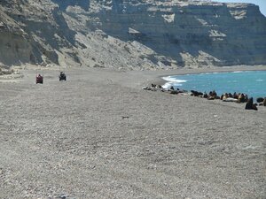 Гостиница Cheltum Hotel
