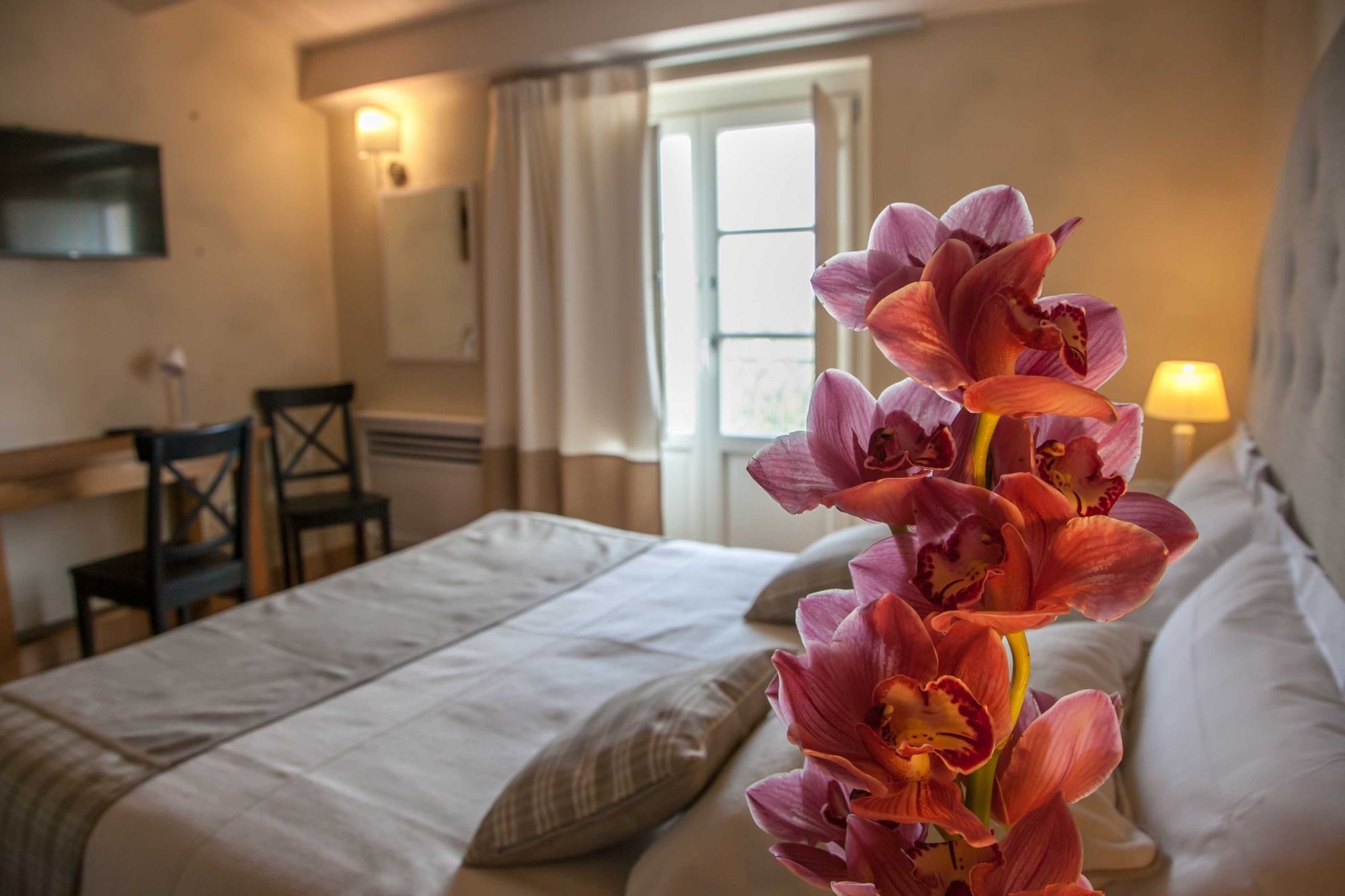 Фото Zahir Country House