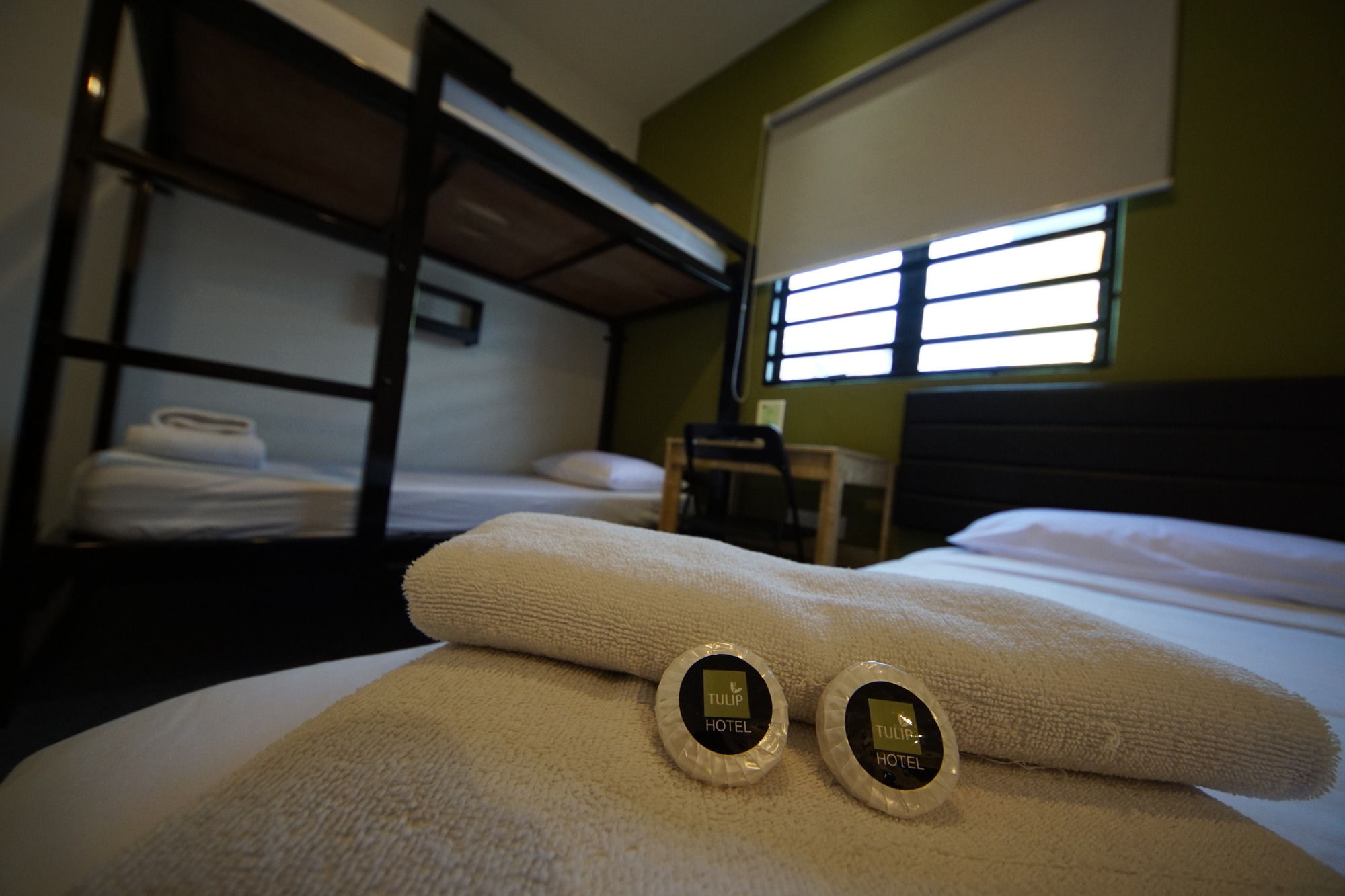 Фото Tulip Hotel