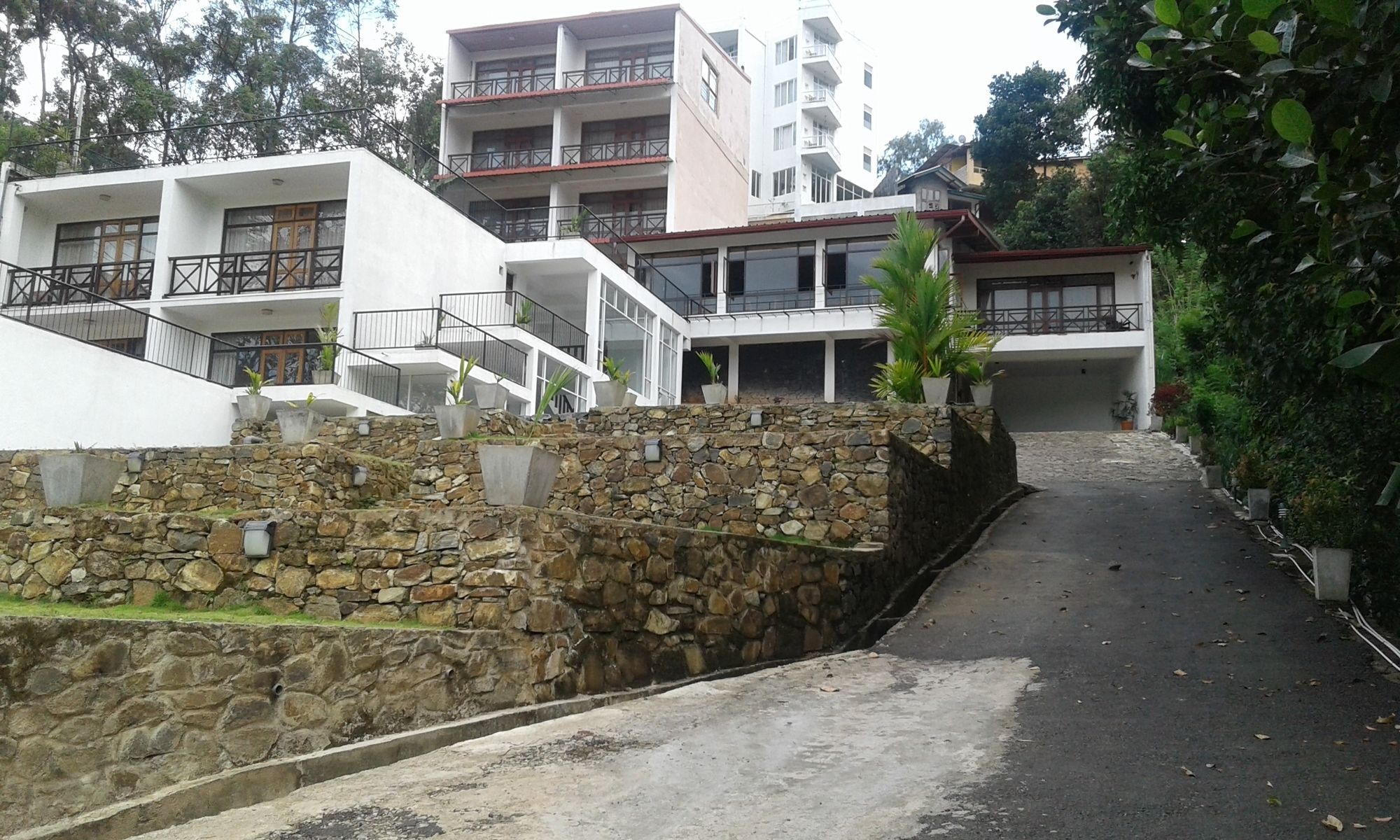 Фото Hotel Alta Vista