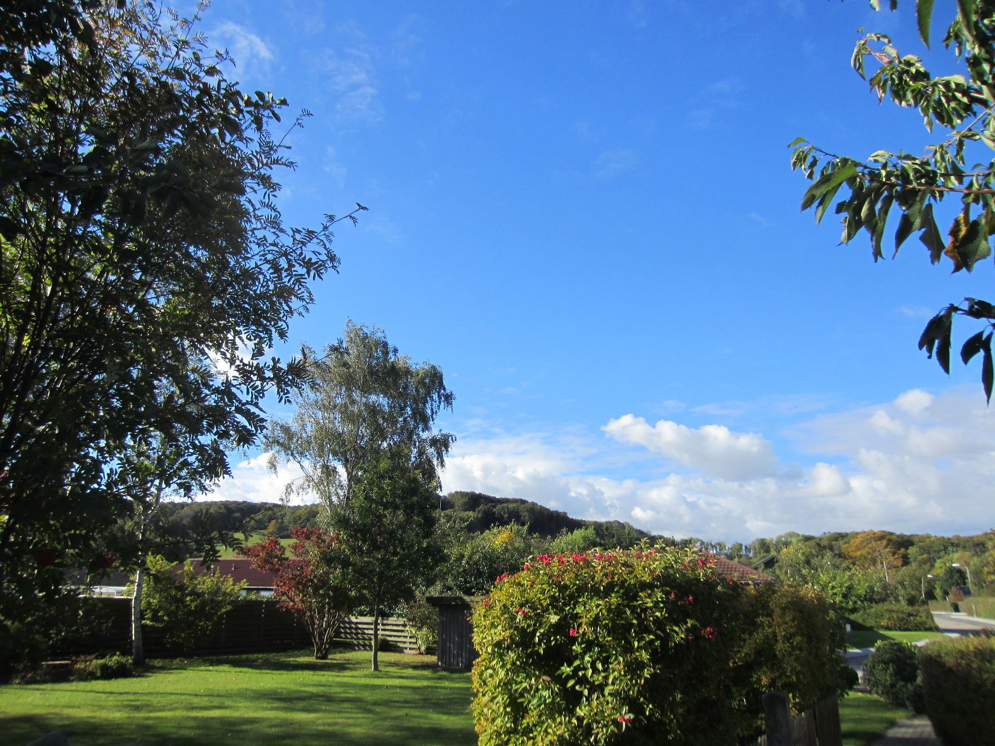 Фото Hotel Lisboa