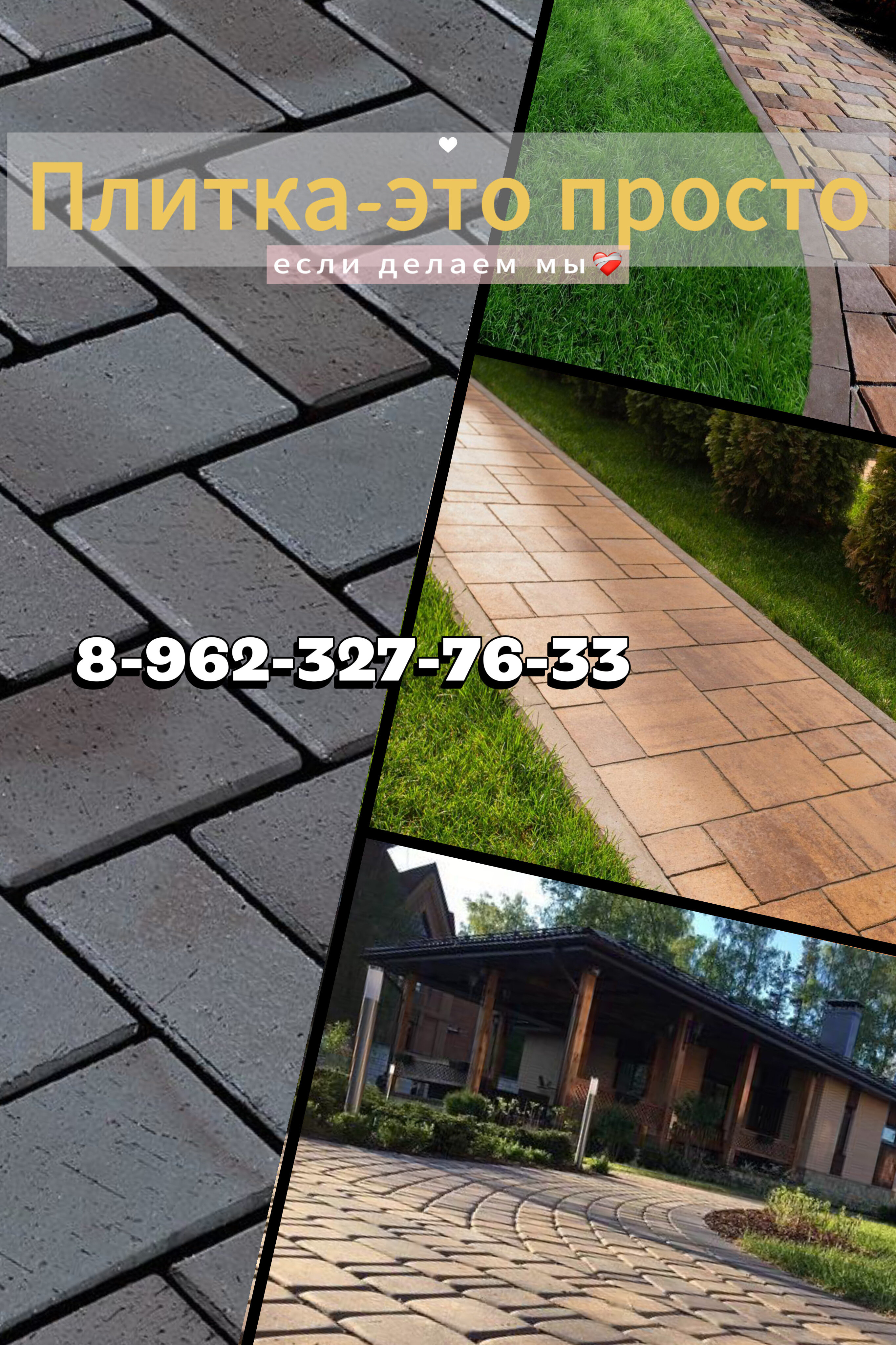 Фото Папоротник