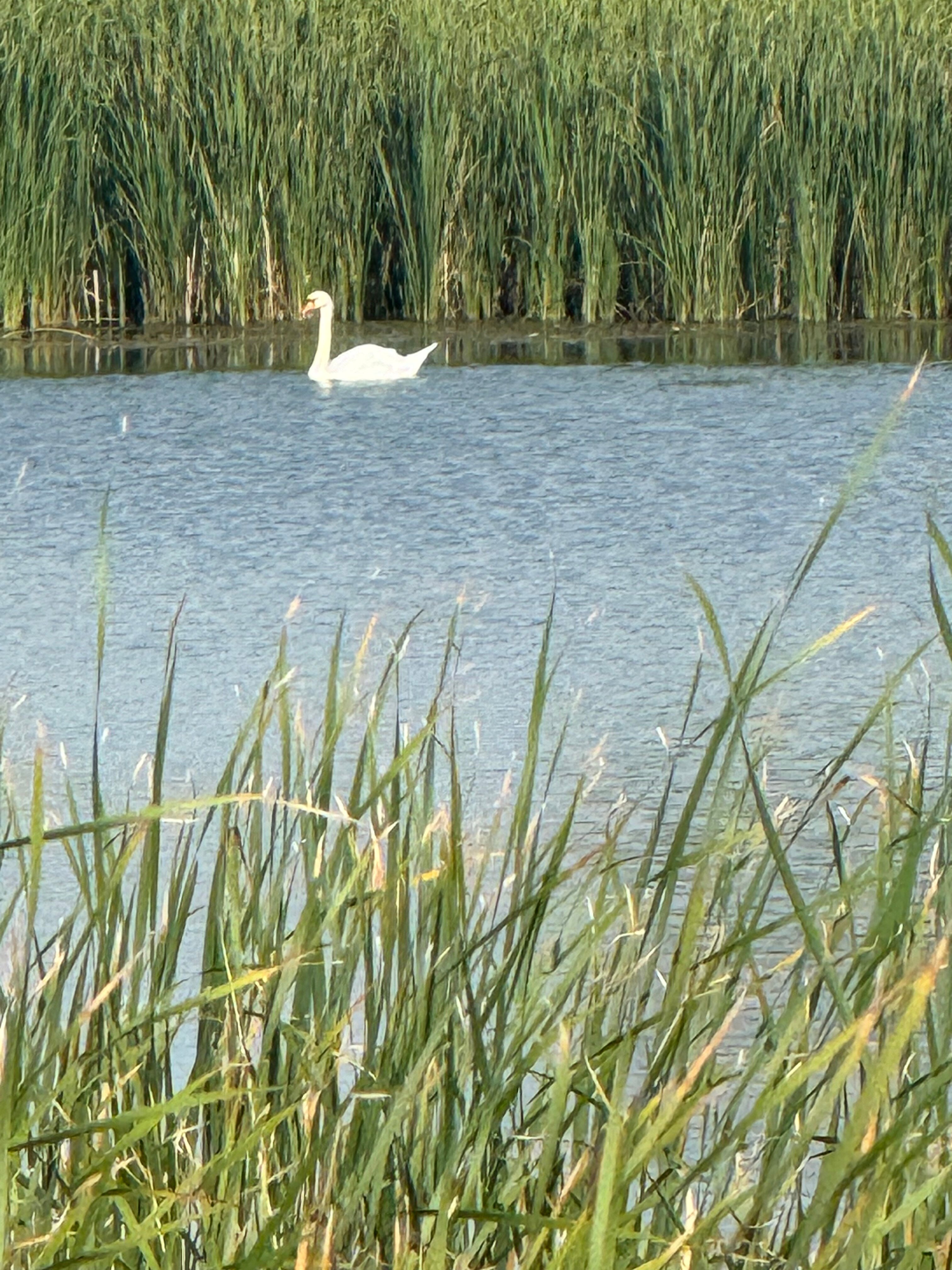 Фото Фишфарм116
