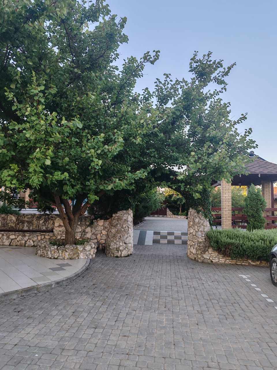 Фото Морская Звезда