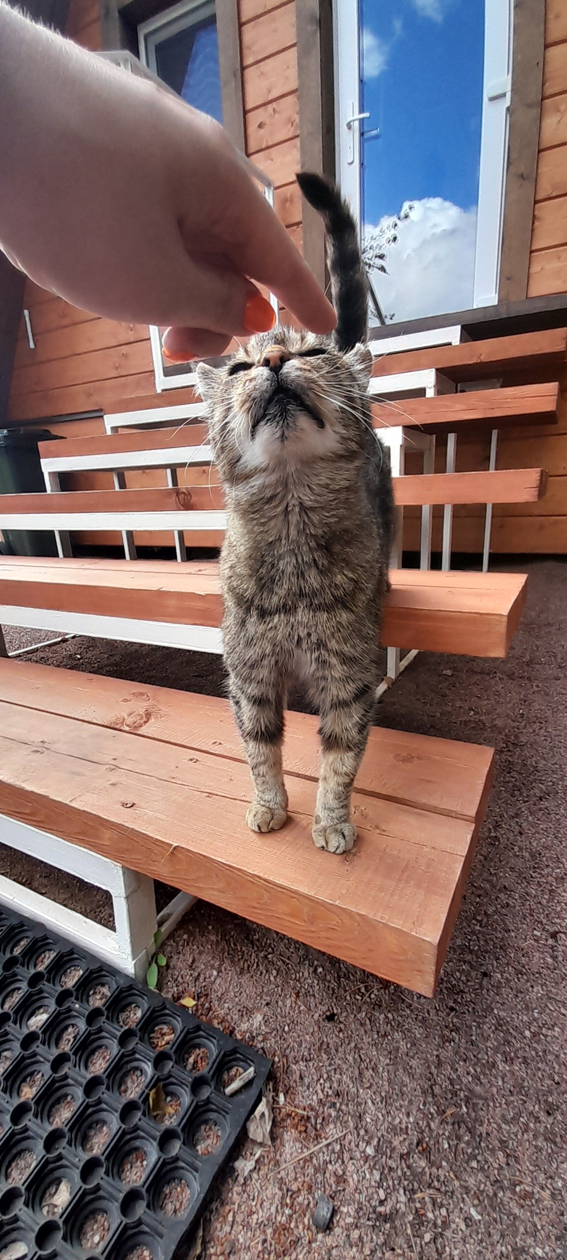 Фото Поместье Лесная бухта