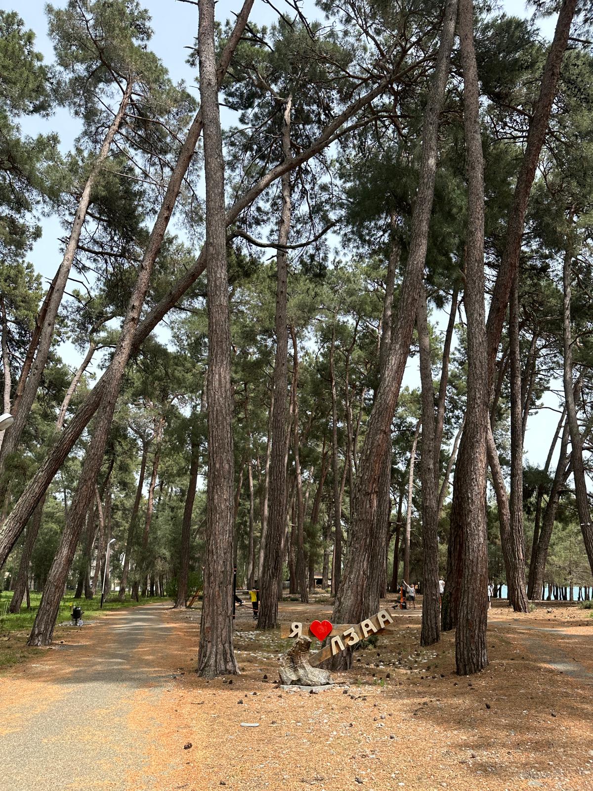 Фото Гостевой дом Мира