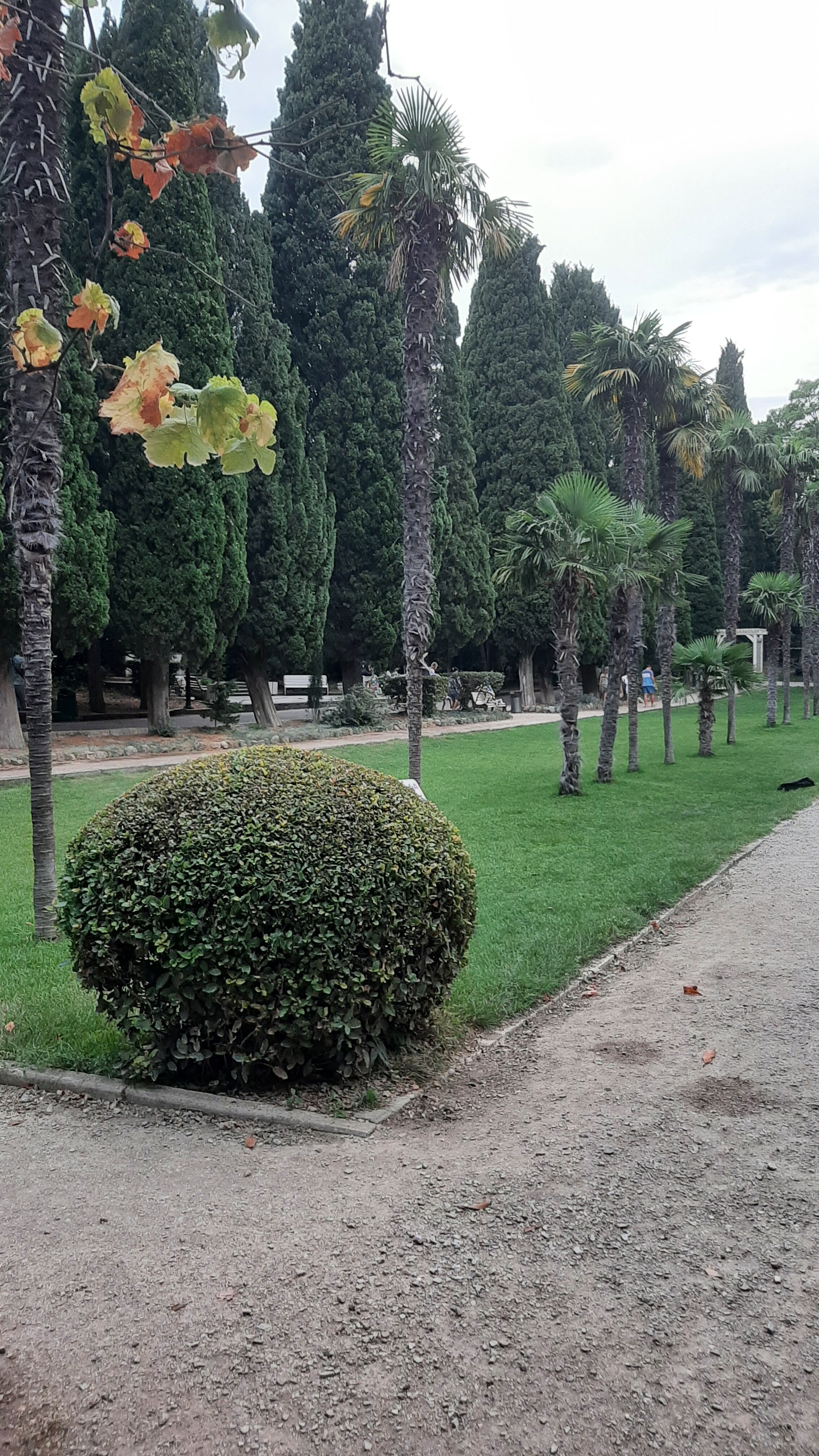 Фото Вероника