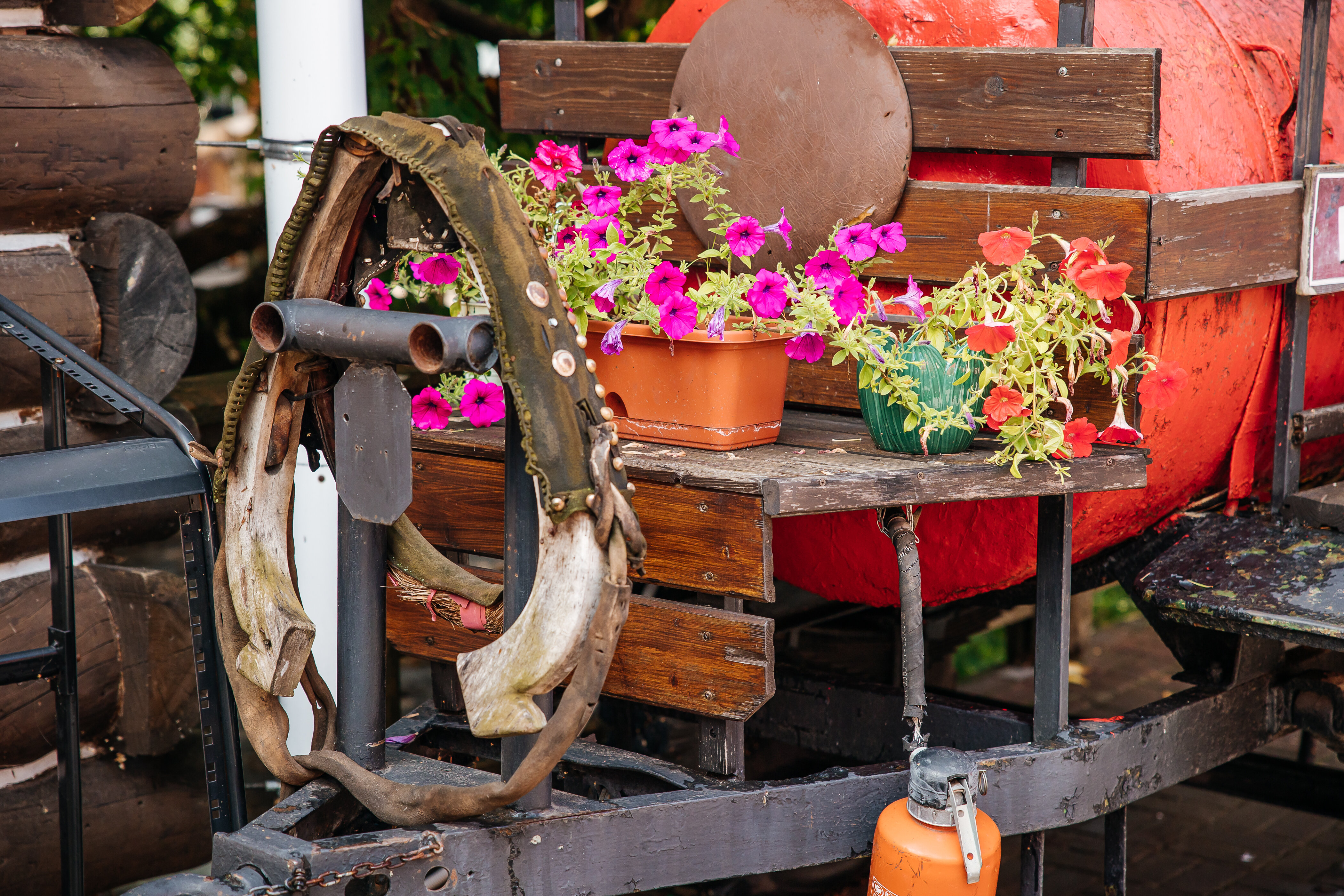 Фото Ранчо 636