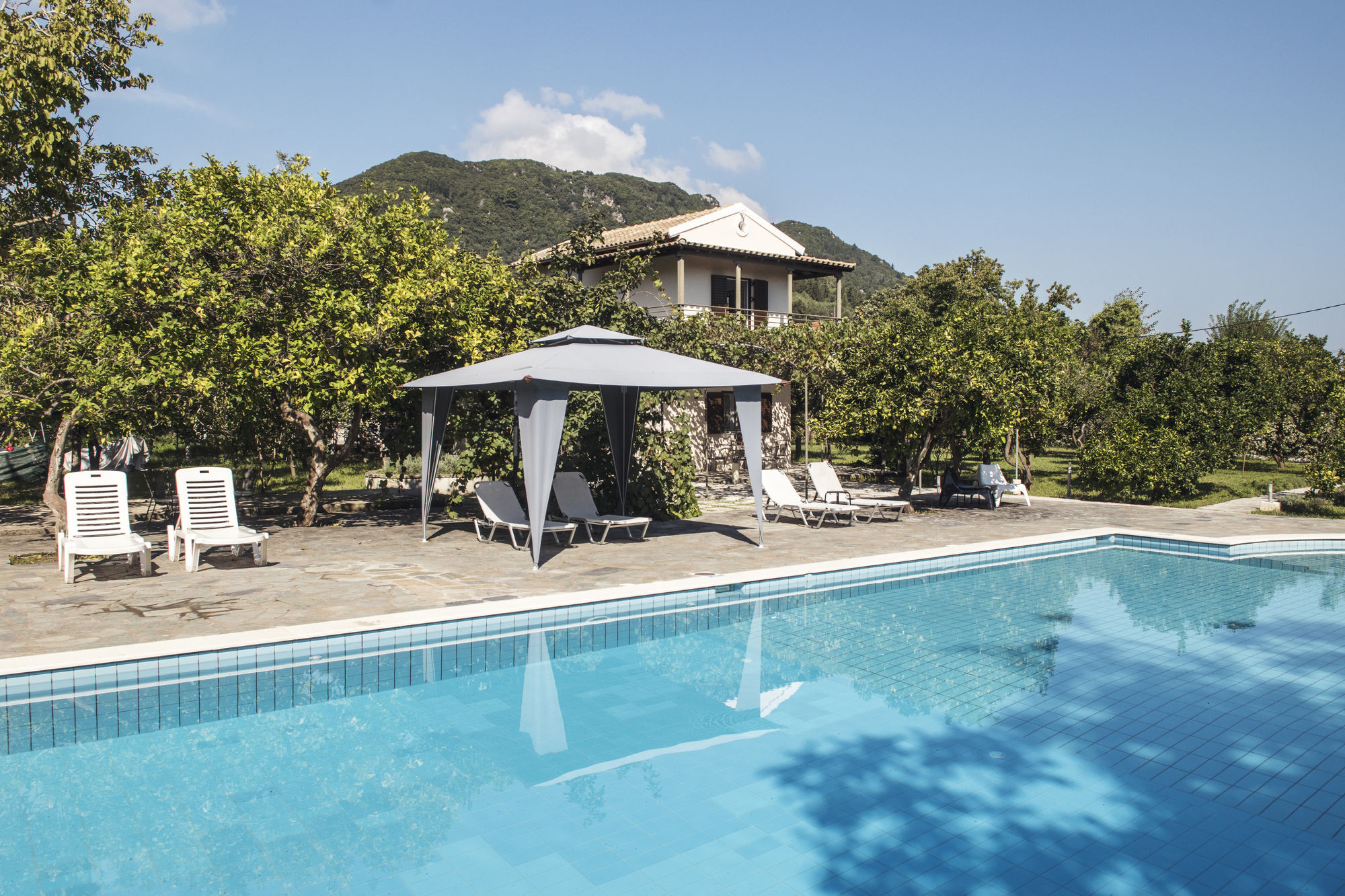 Фото Orange Grove Villas