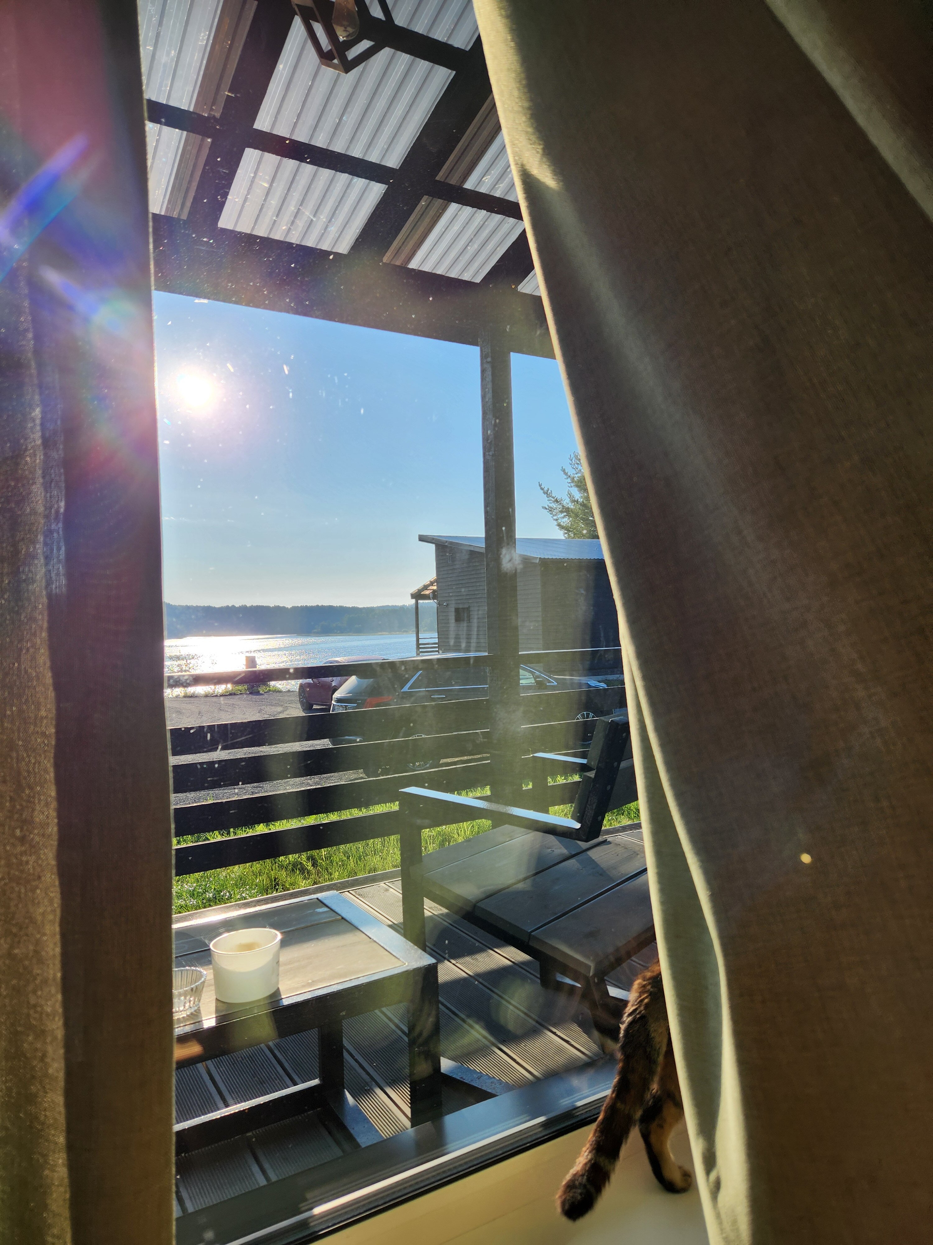 Фото Черная жемчужина