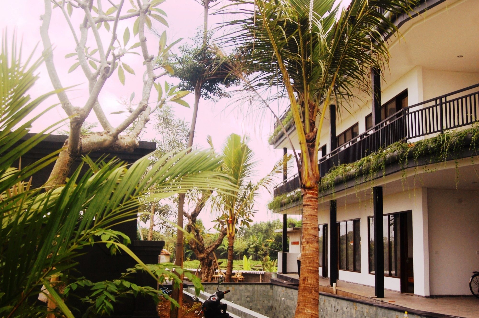 Фото Grandpa Guest House