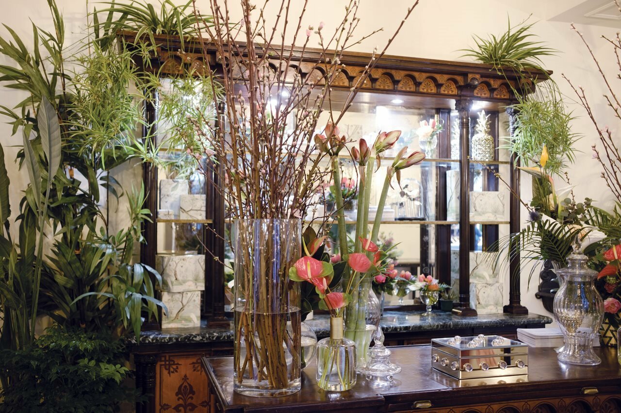 Фото Helvetia & Bristol