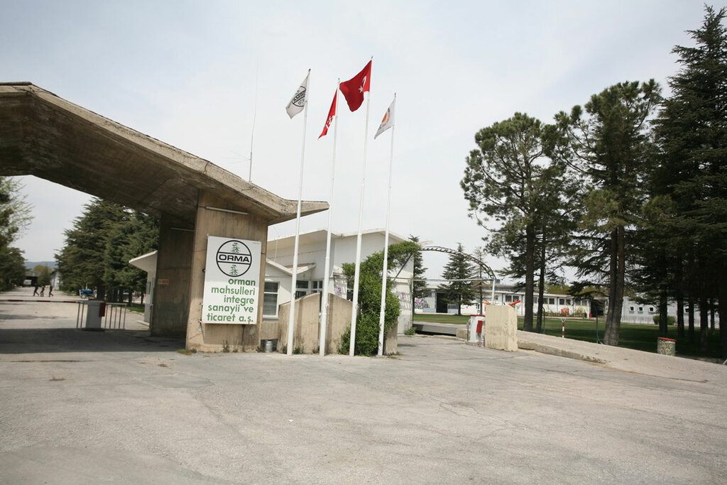 Woodworking enterprise Orma Forest Products, Isparta, photo