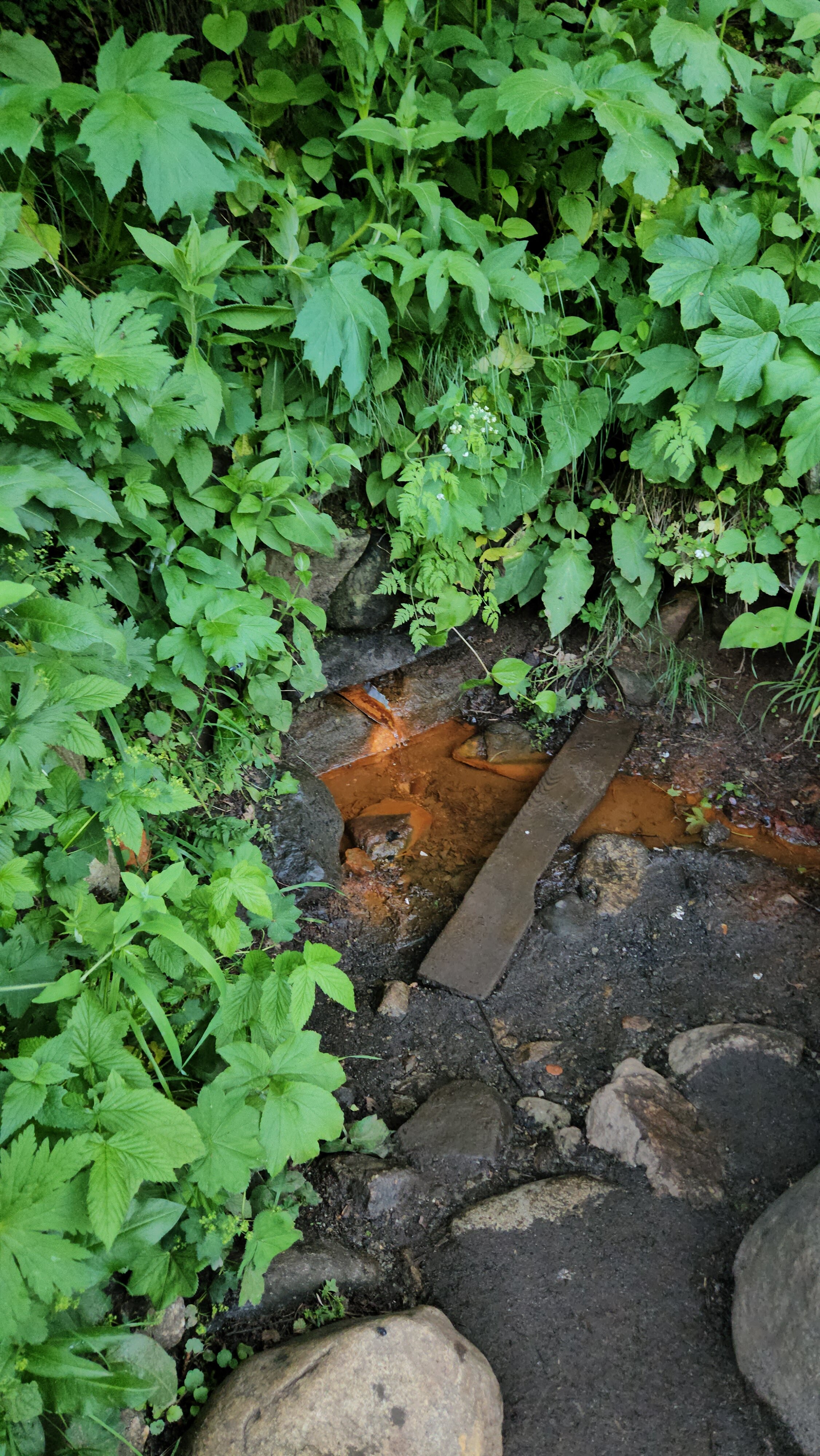 Фото Тебердом