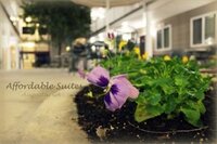 Фото Affordable Suites Augusta