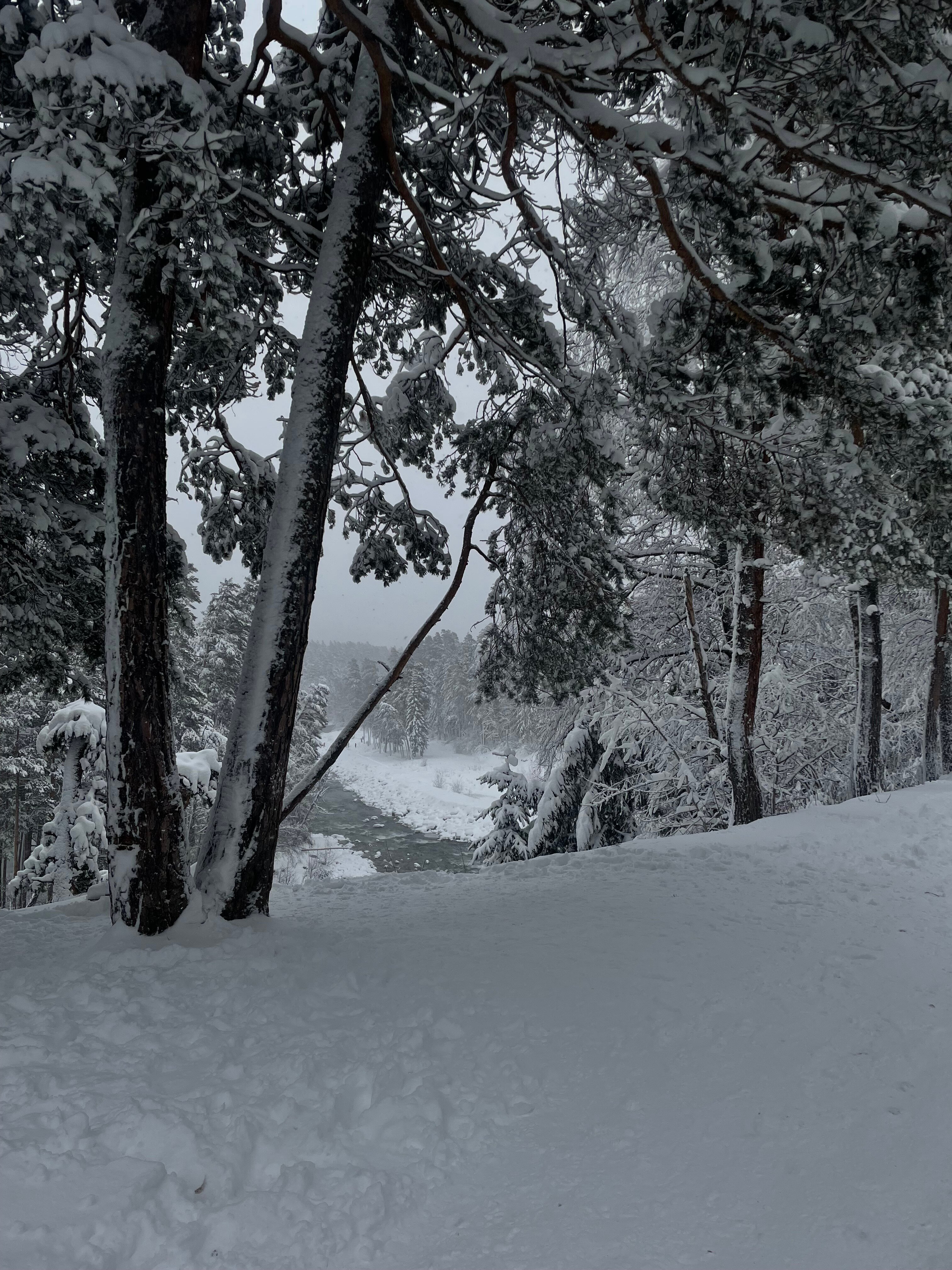 Фото Рассвет