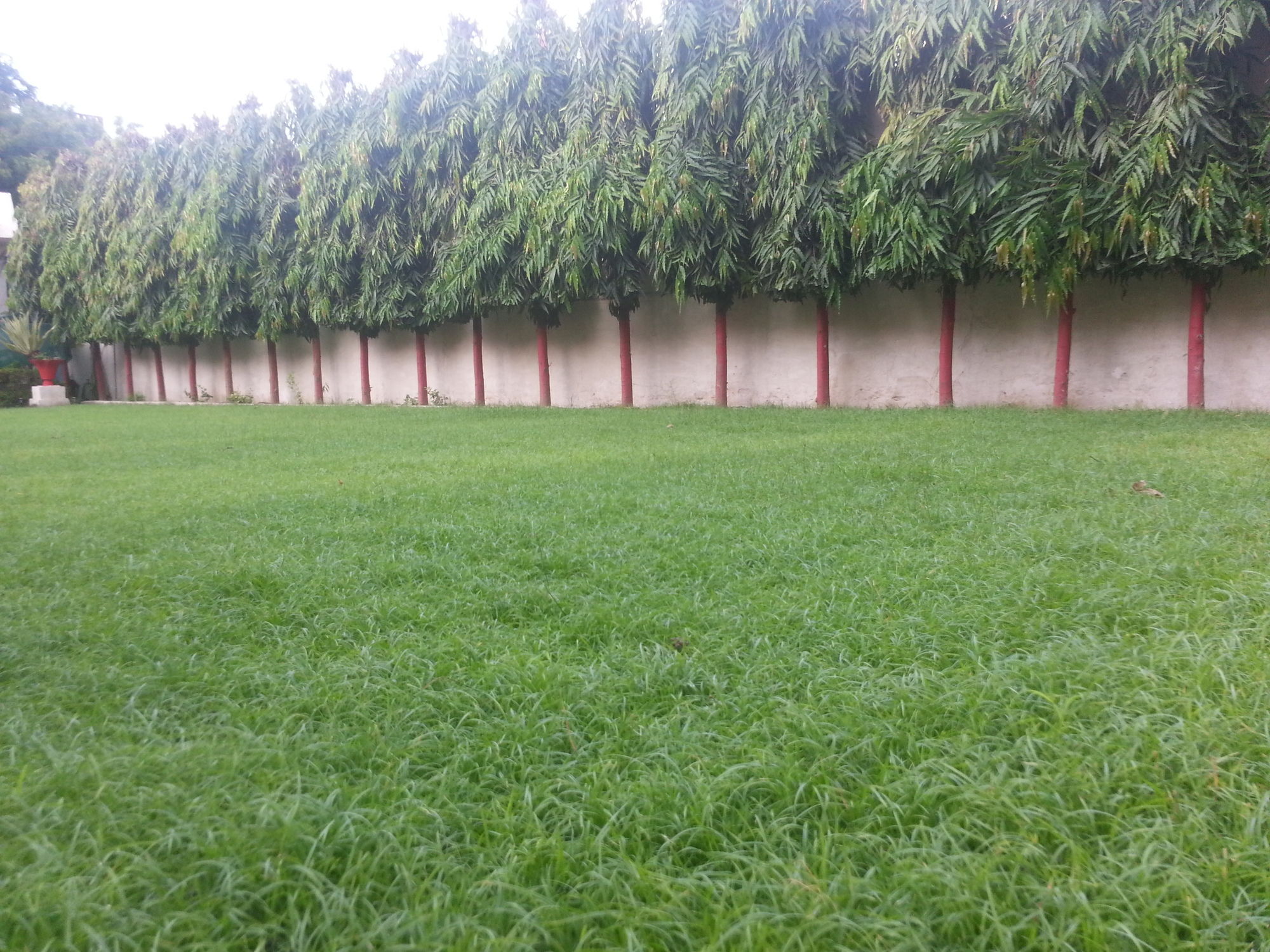 Фото Hotel Varuna