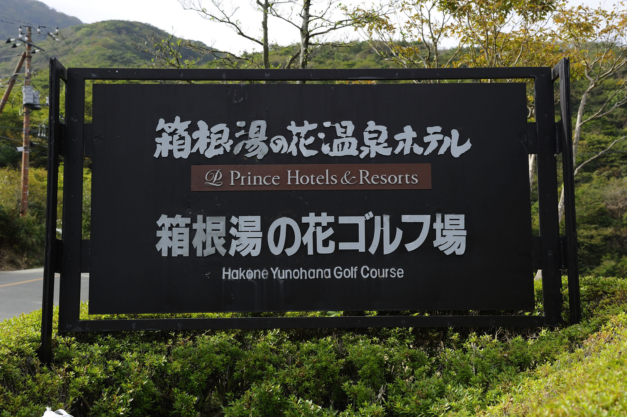 Фото Hakone Yunohana Prince Hotel