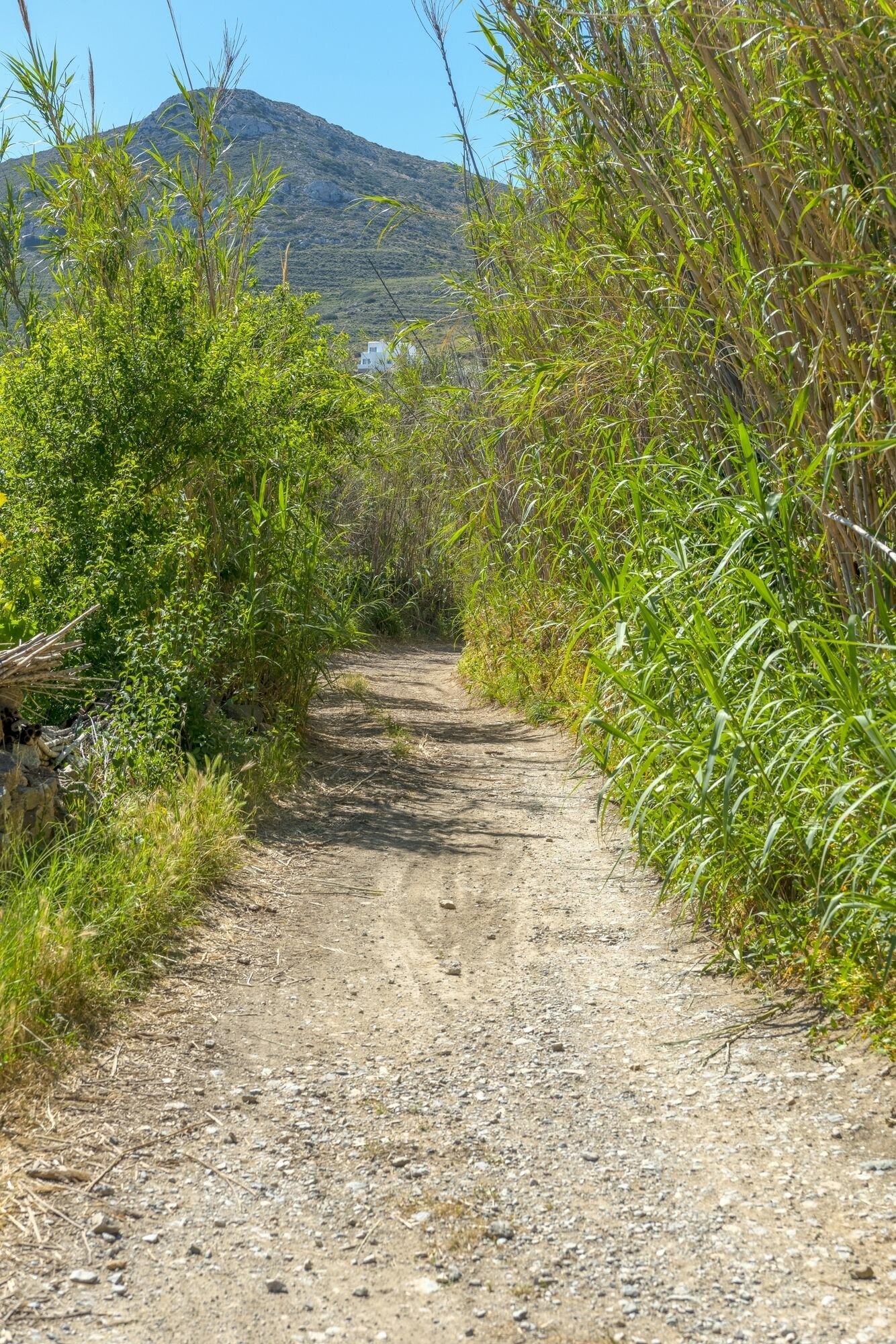 Фото Villa Delona