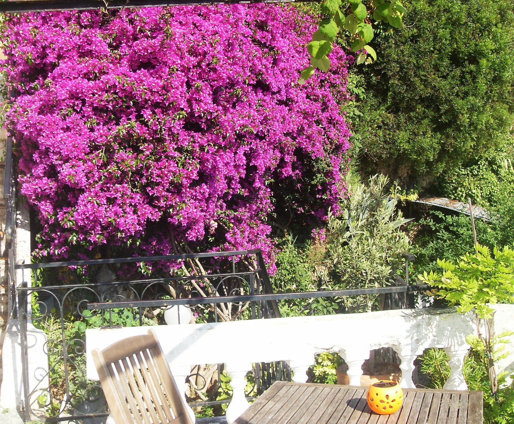 Фото Le Panoramic Boutique