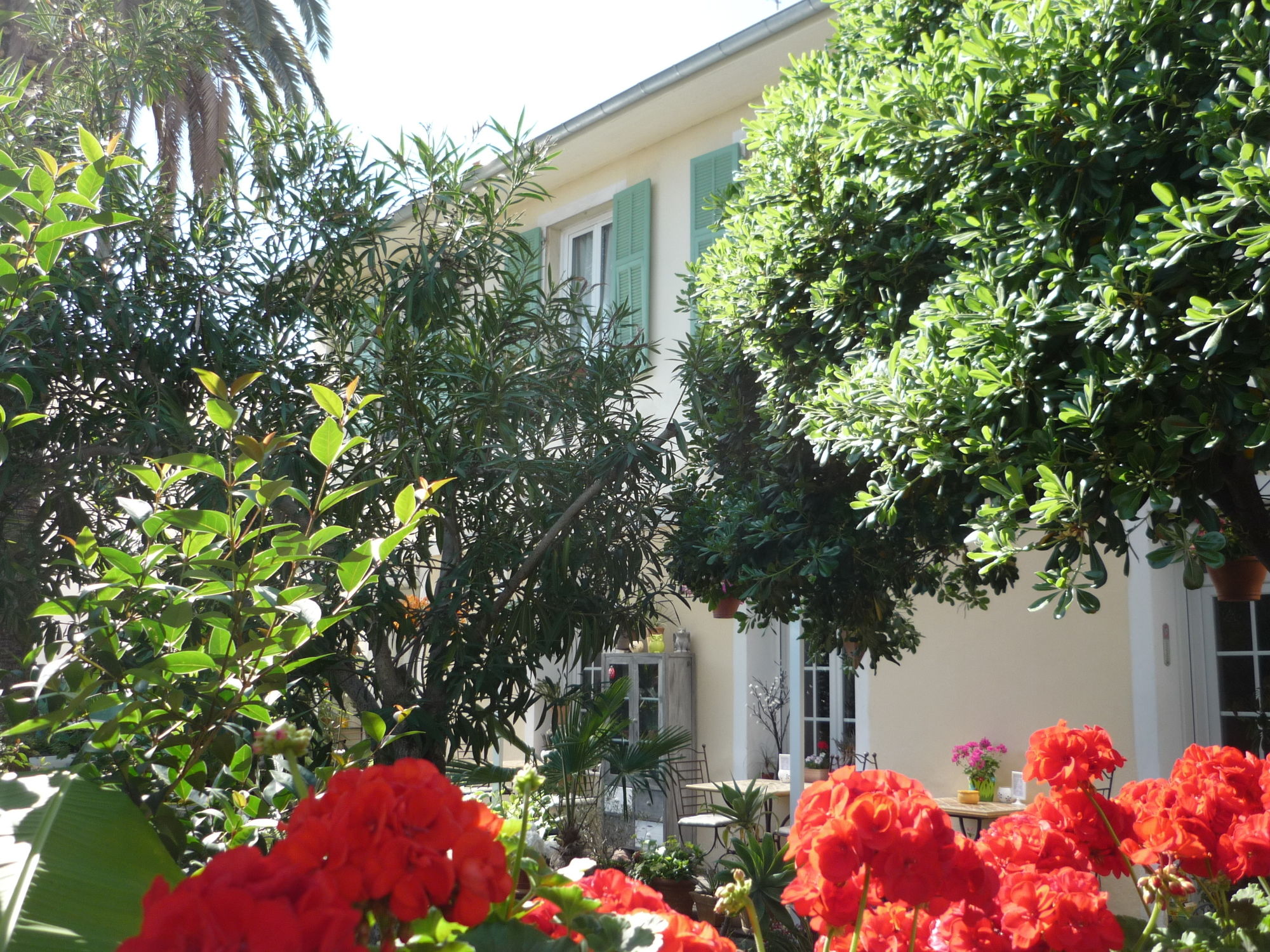 Фото Hotel Villa Victorine