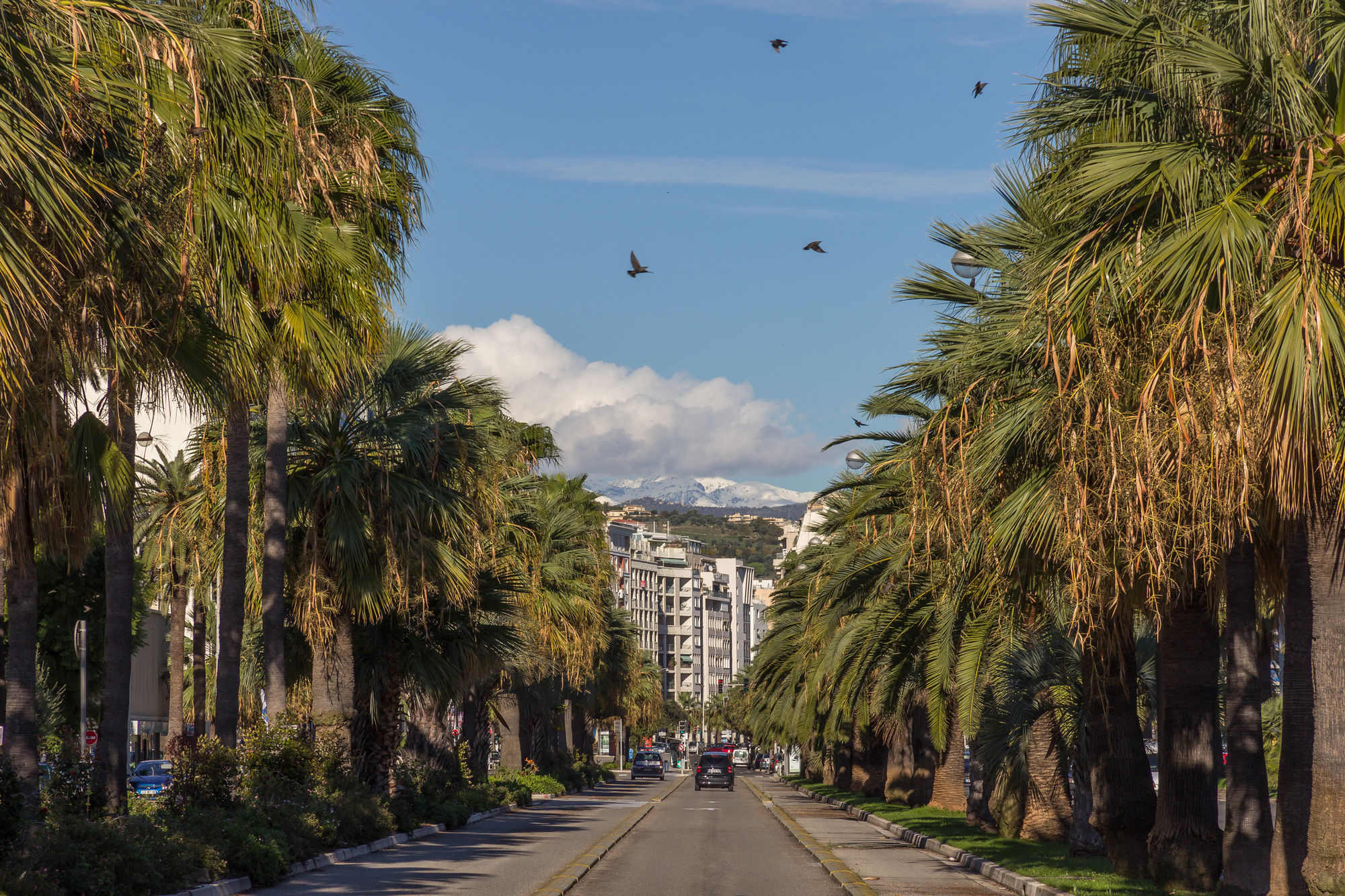 Фото Hotel Villa Victorine