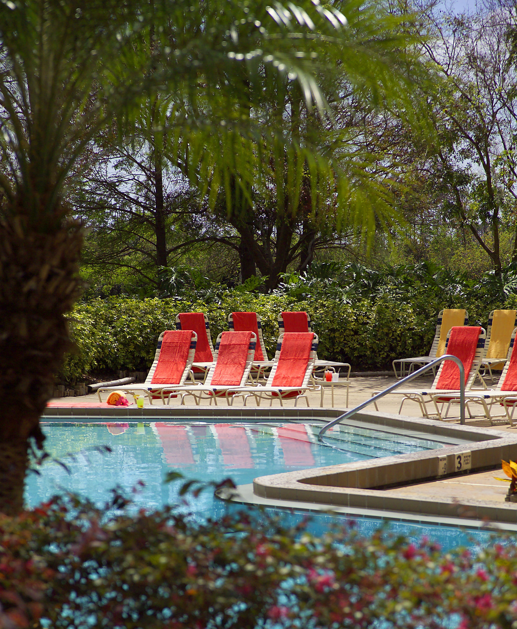 Фото Marriott Orlando Airport Lakeside