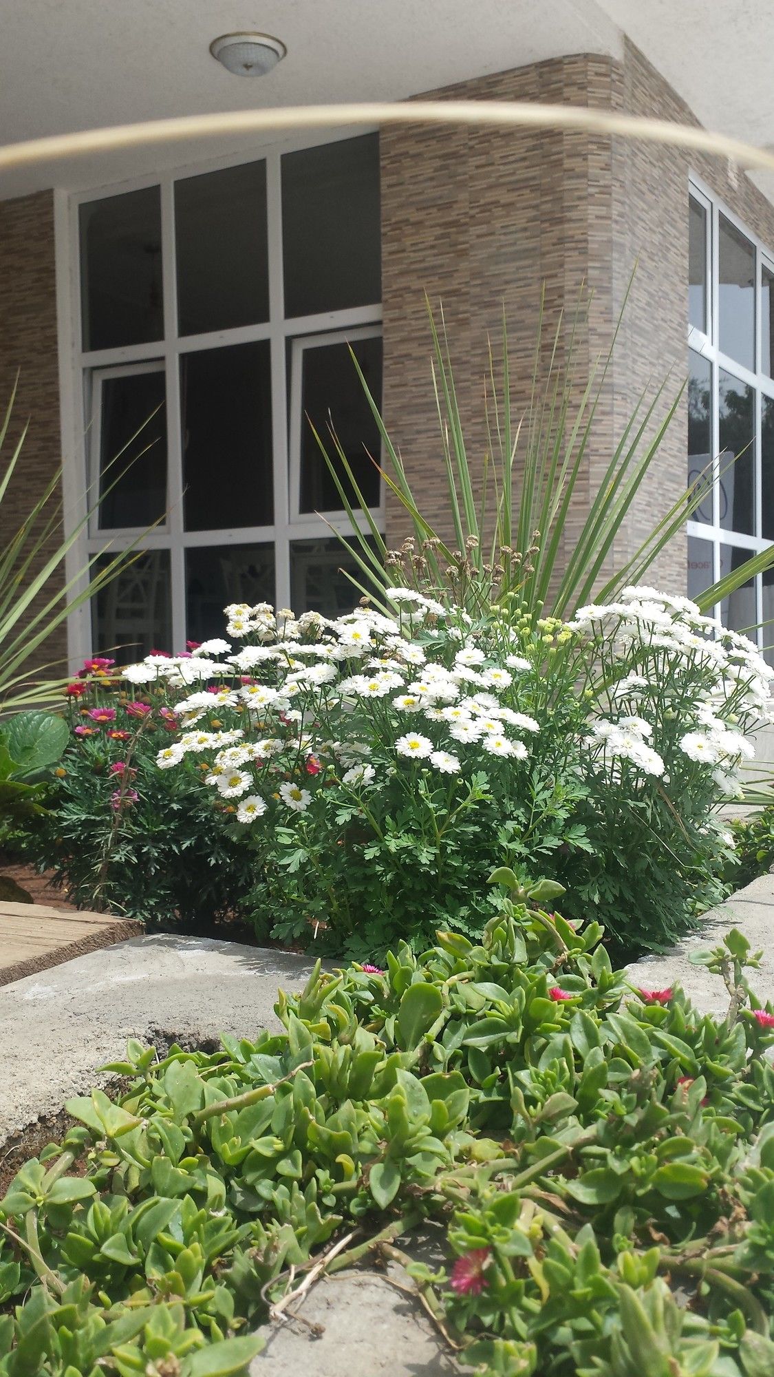 Фото White House Addis Hotel