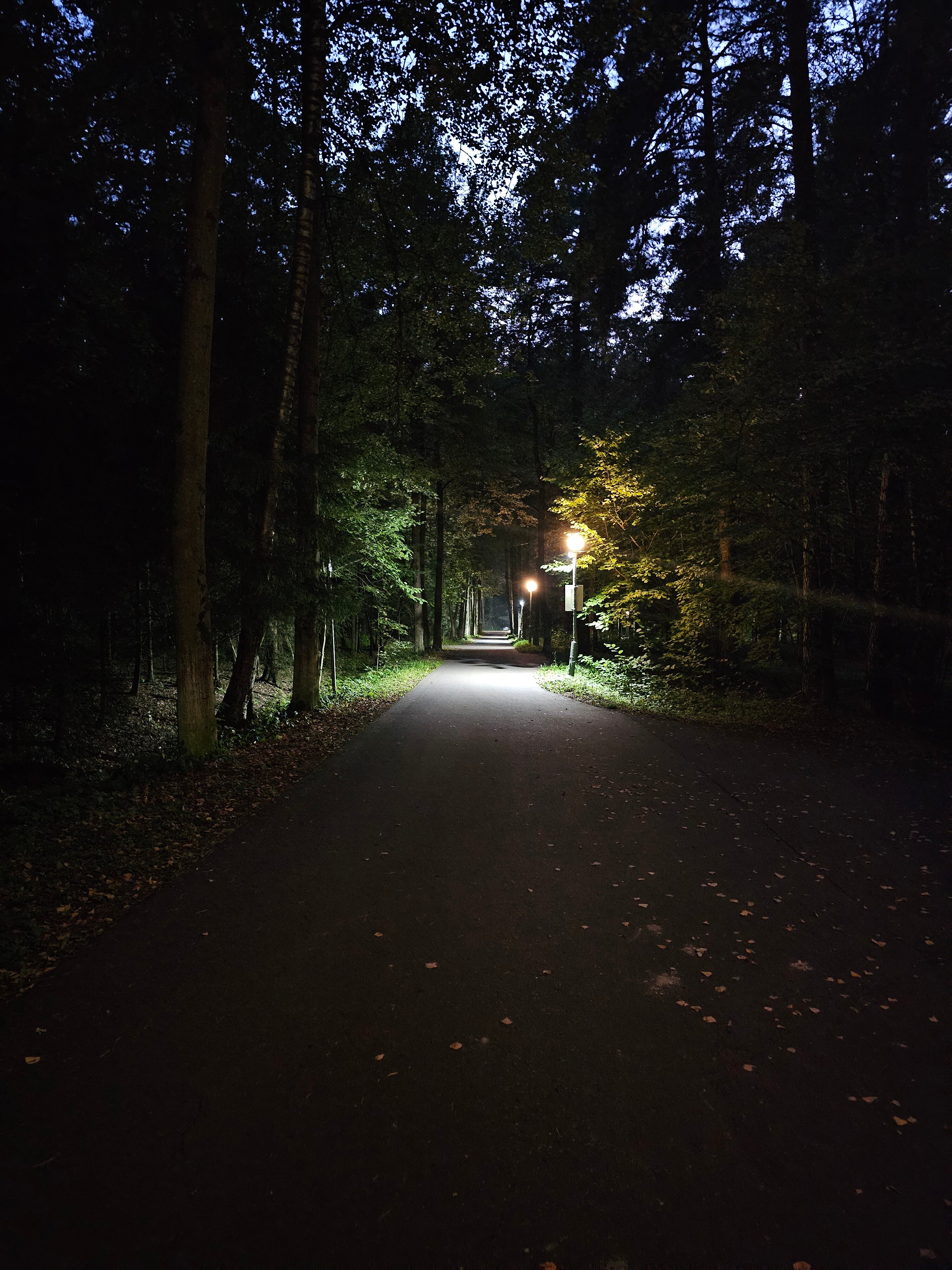 Фото Переделкино