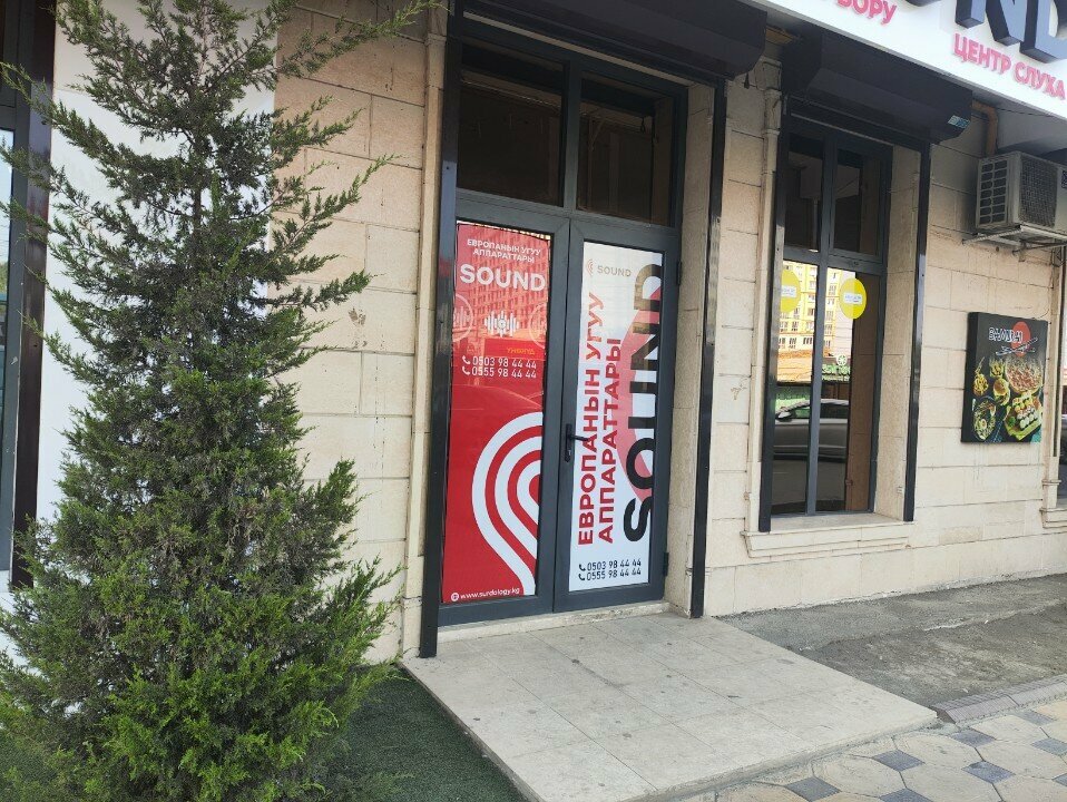 Hearing aids Sound, Osh, photo