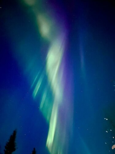 Гостиница Лапландия в Мурманске