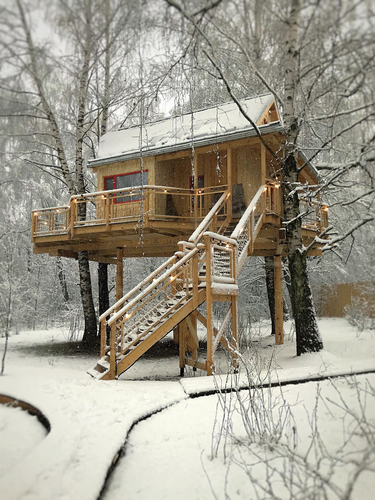 Фото Лапочкино гнездо Дома на деревьях