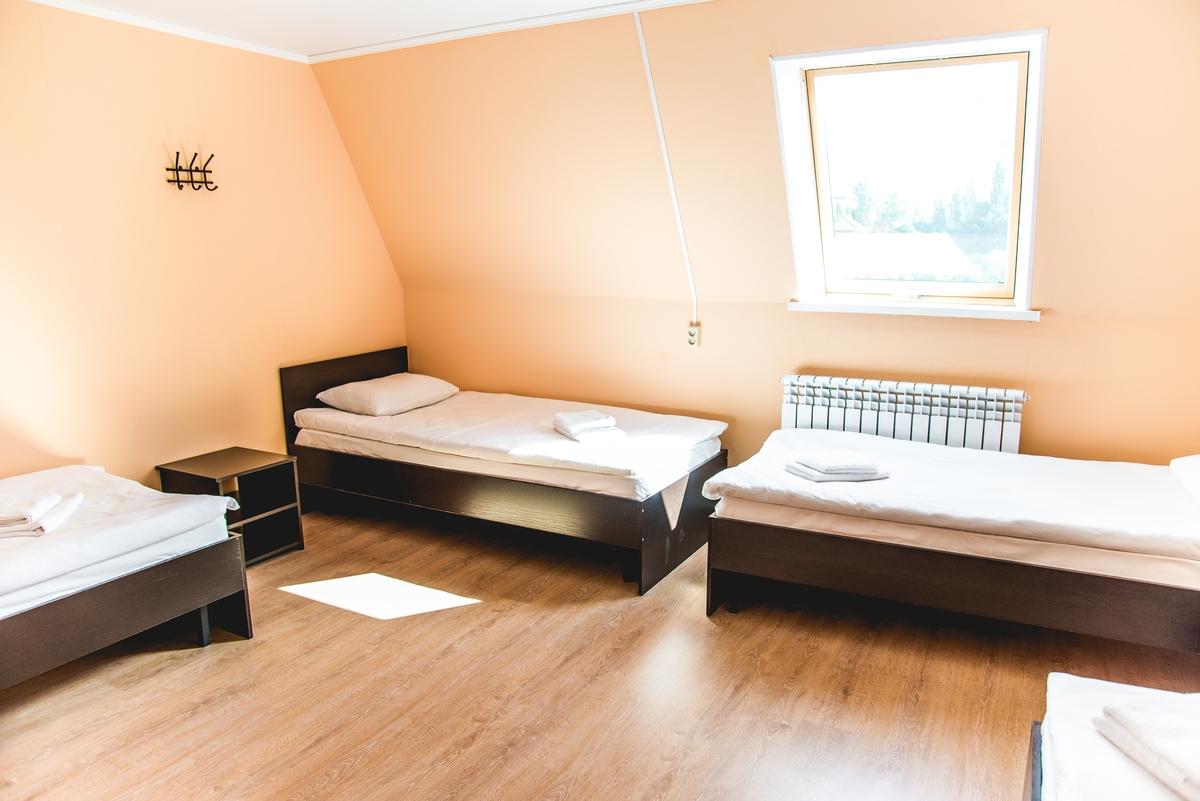 Фото Базилик