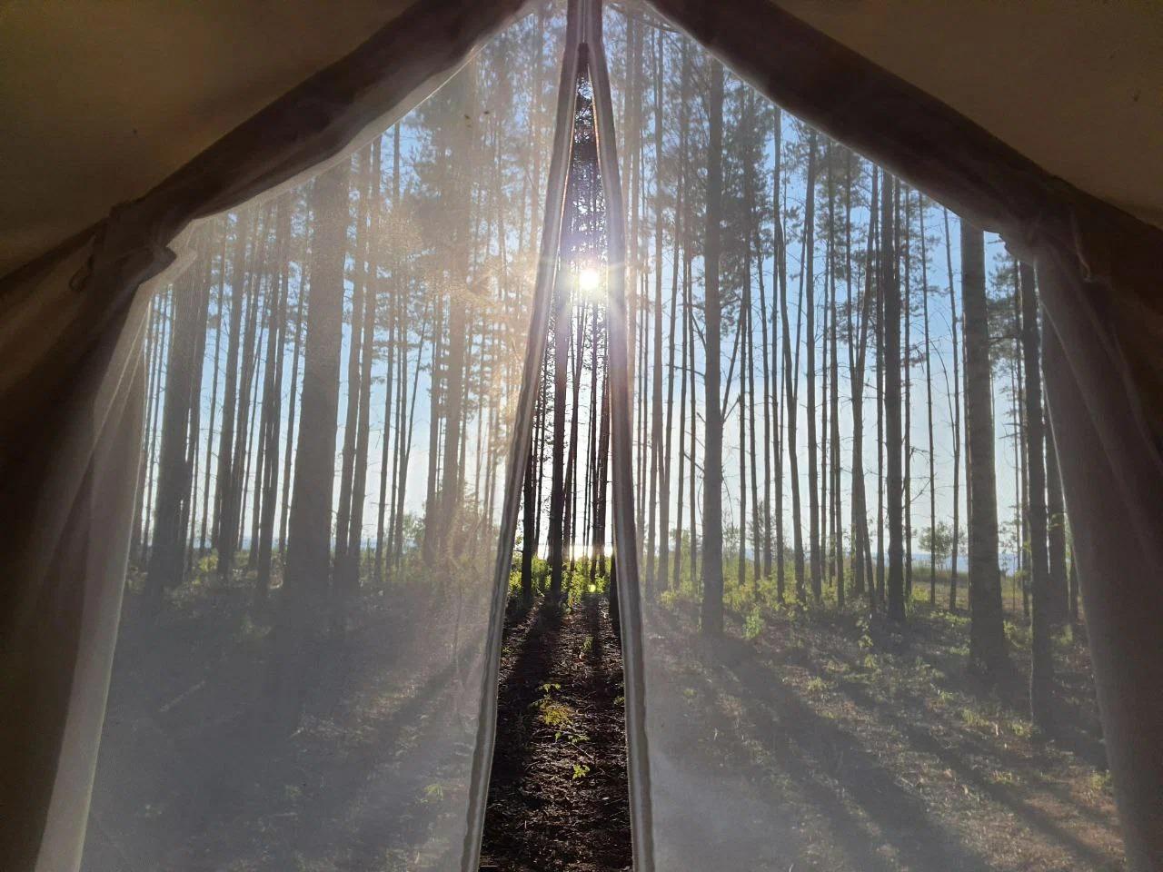 Фото Берег Грифона