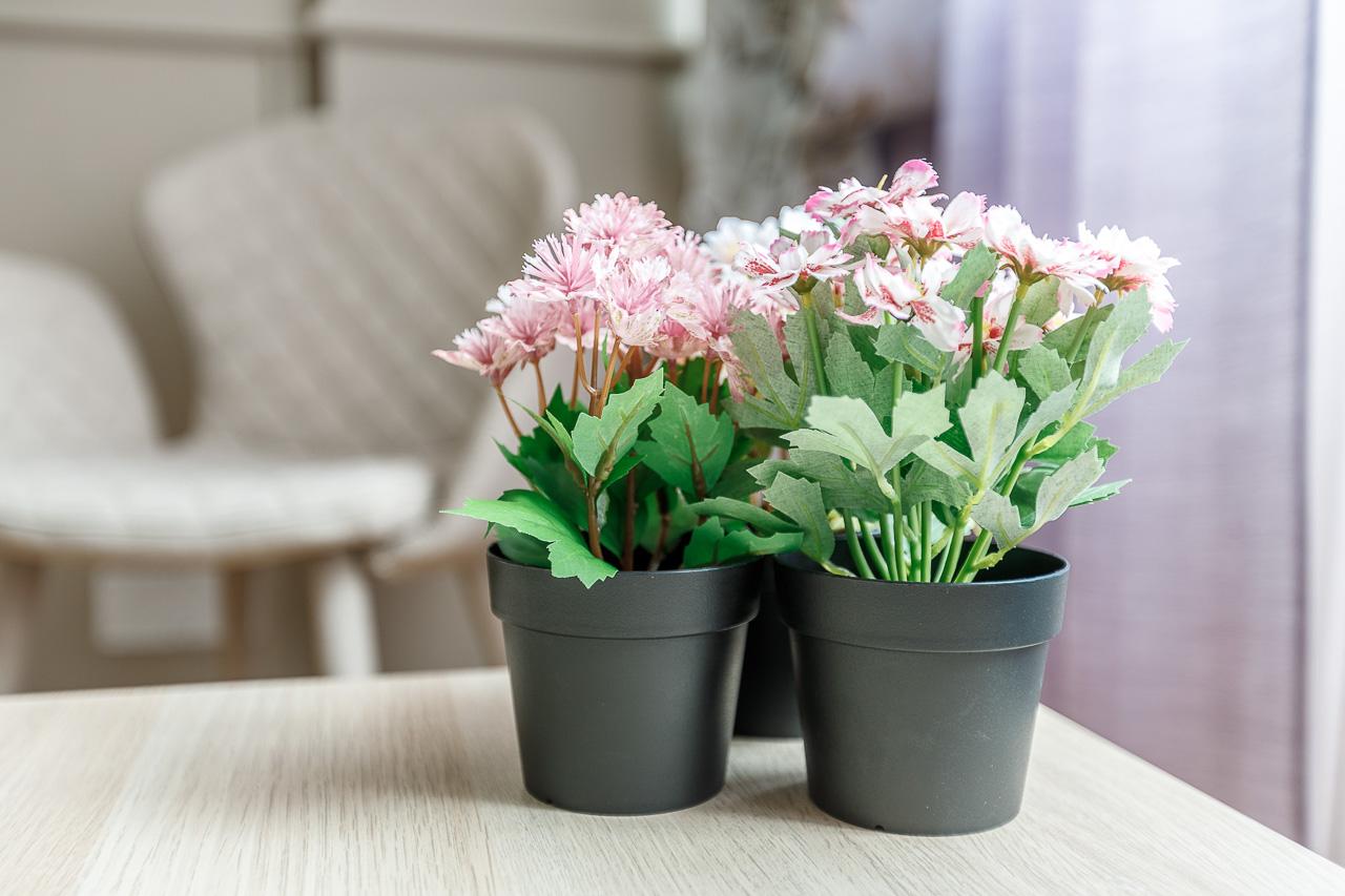 Фото История