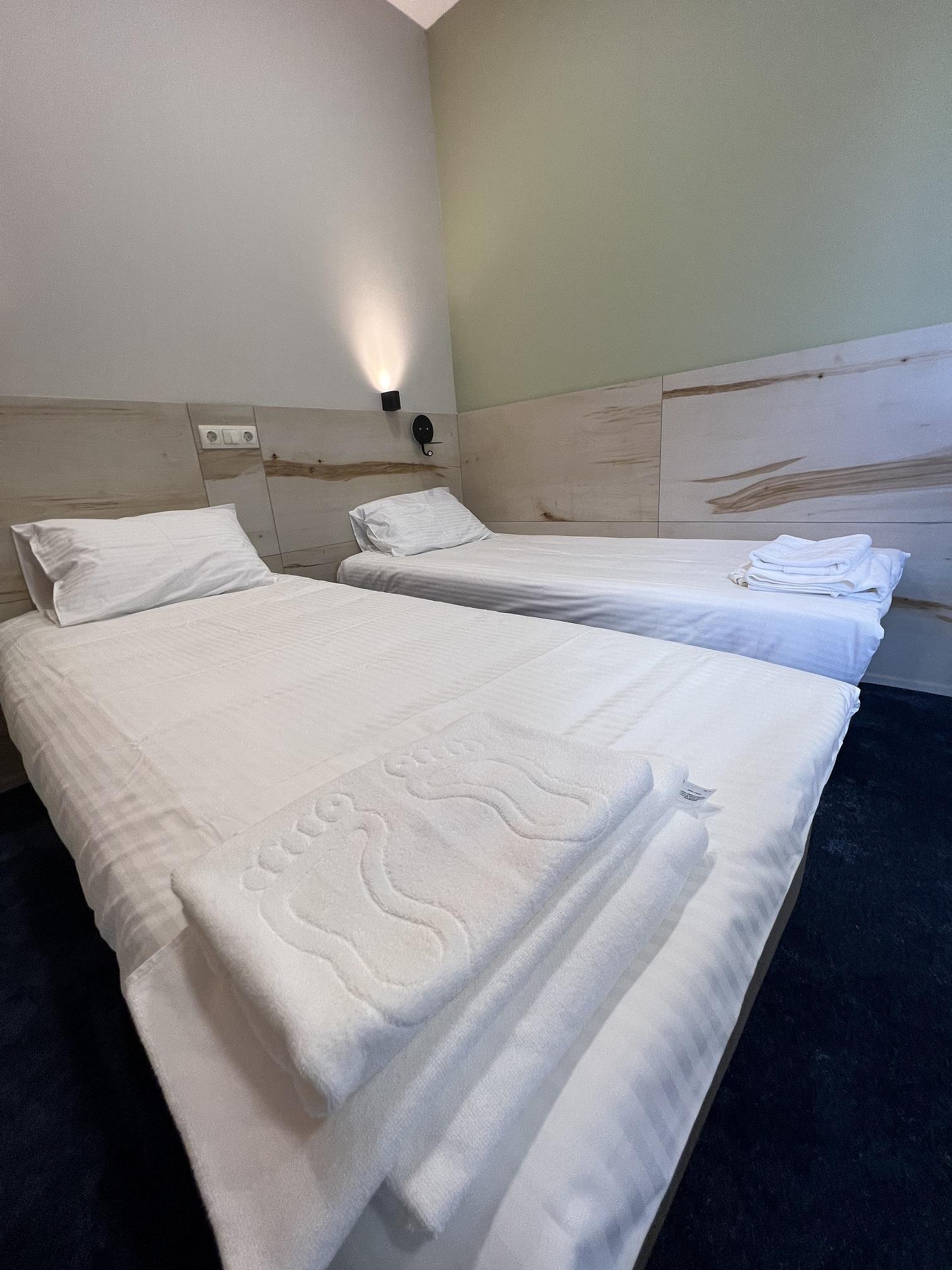 Фото Клевер