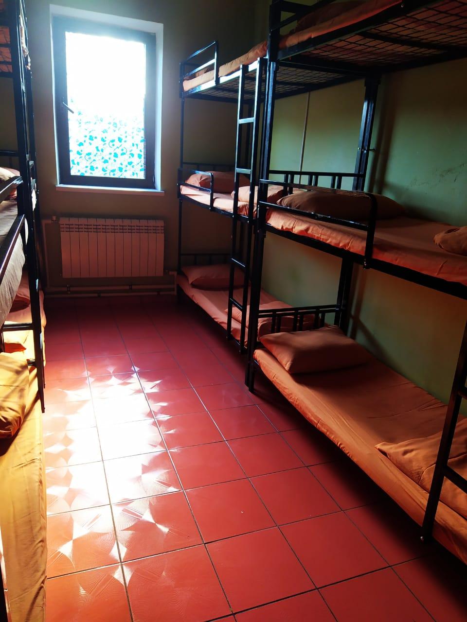 Фото Вежливый Лось