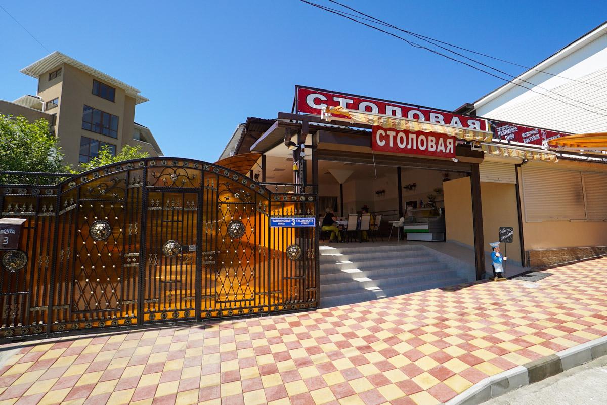 Фото Виолетта