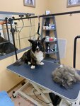Хвостатик (Maly Rogozhsky Lane, 11), pet salon