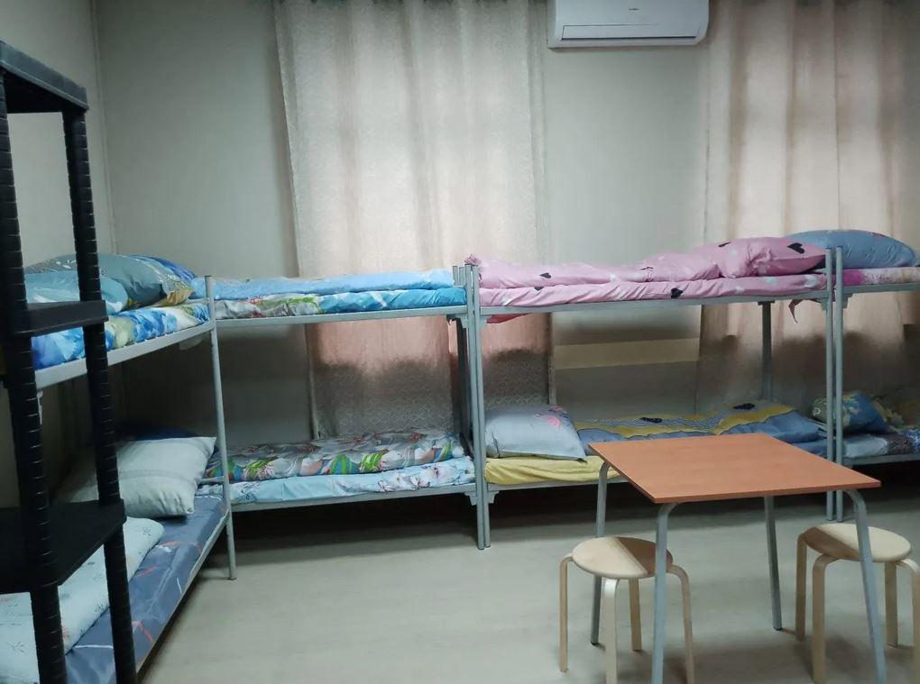 Фото Все медведи